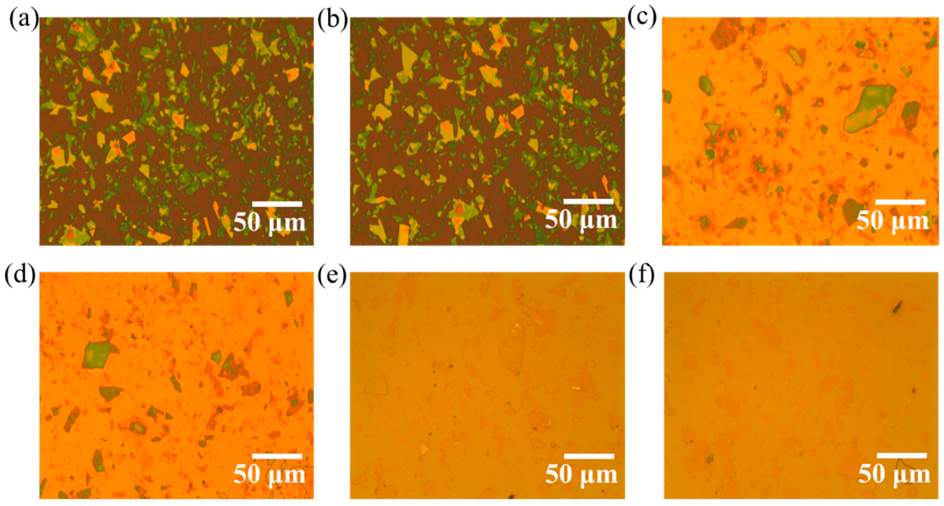Molecules 29 04671 g001