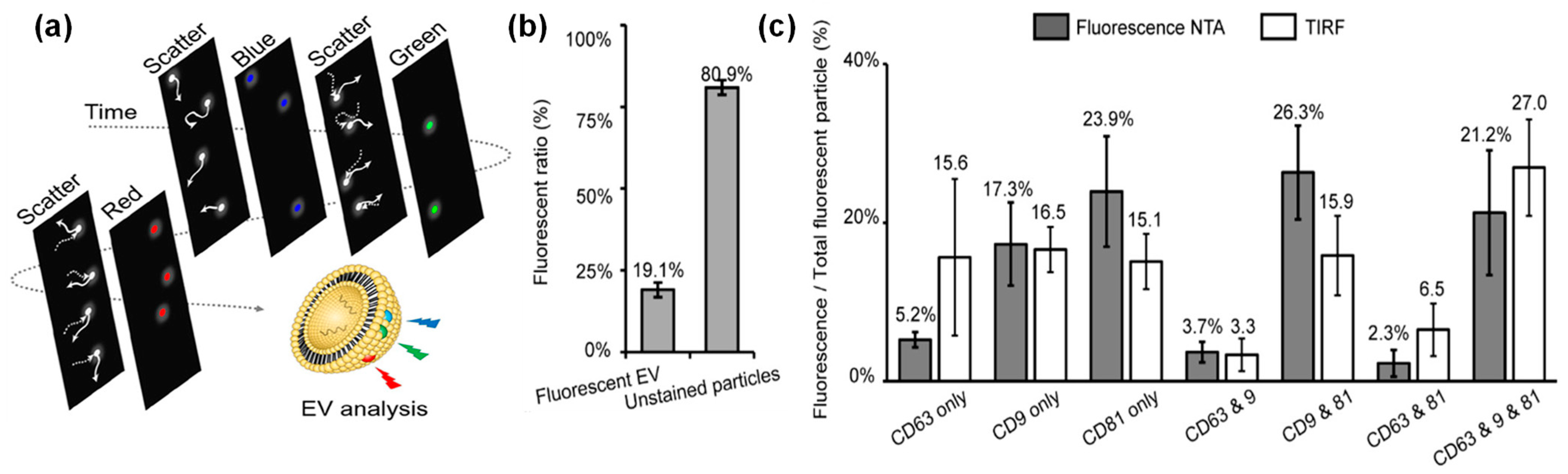 Molecules 29 04672 g003