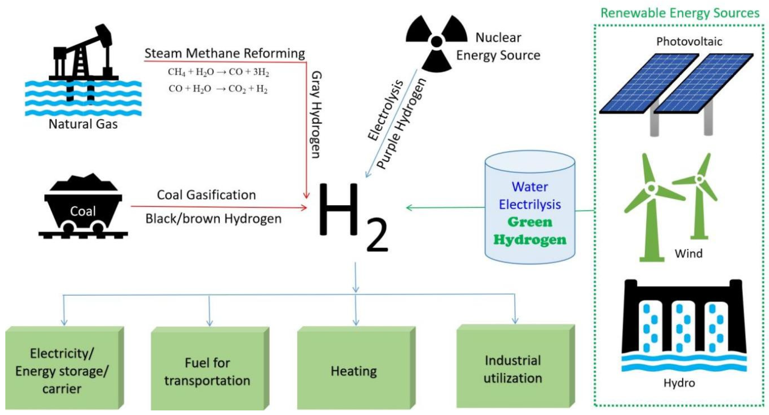 Molecules 29 04676 g001