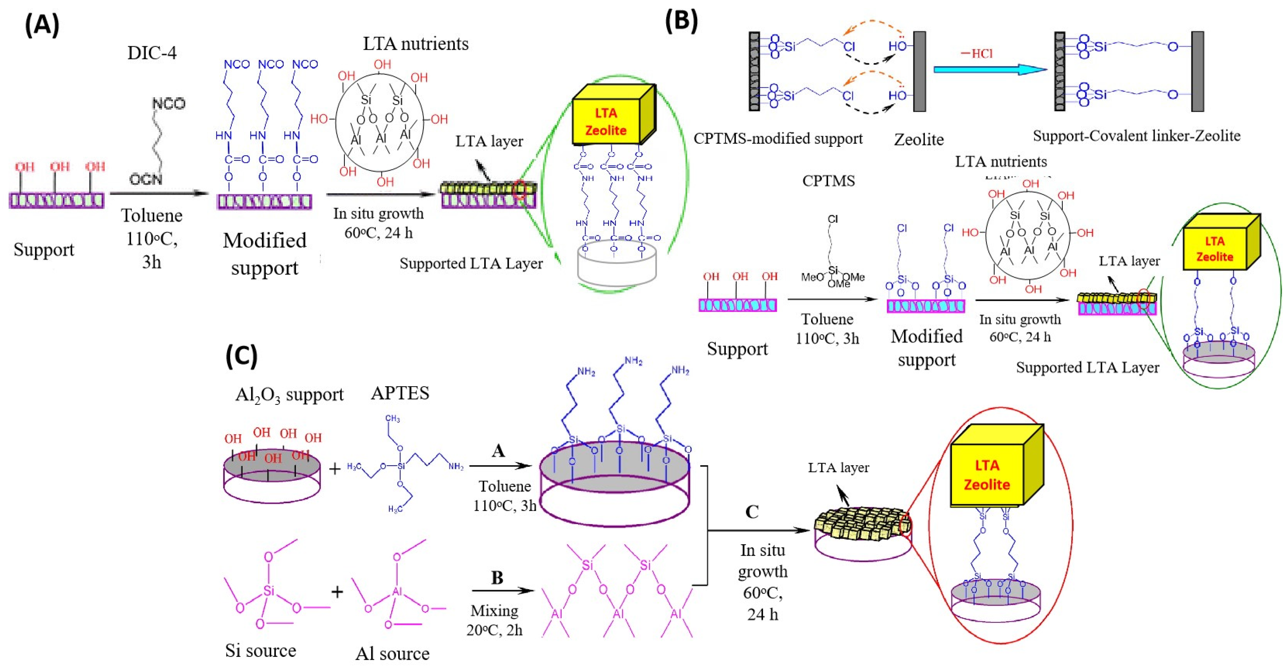 Molecules 29 04676 g004