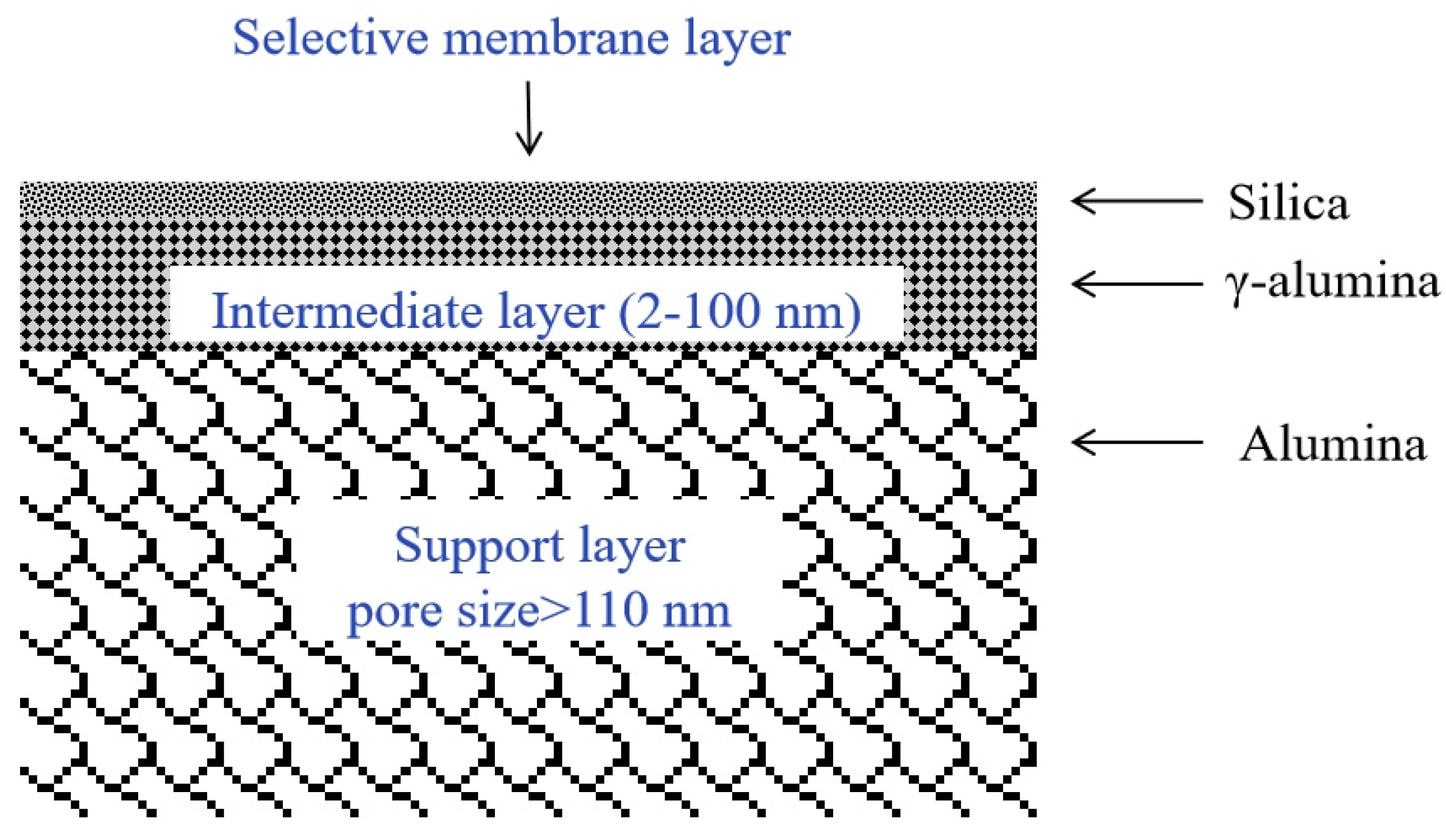 Molecules 29 04676 g005