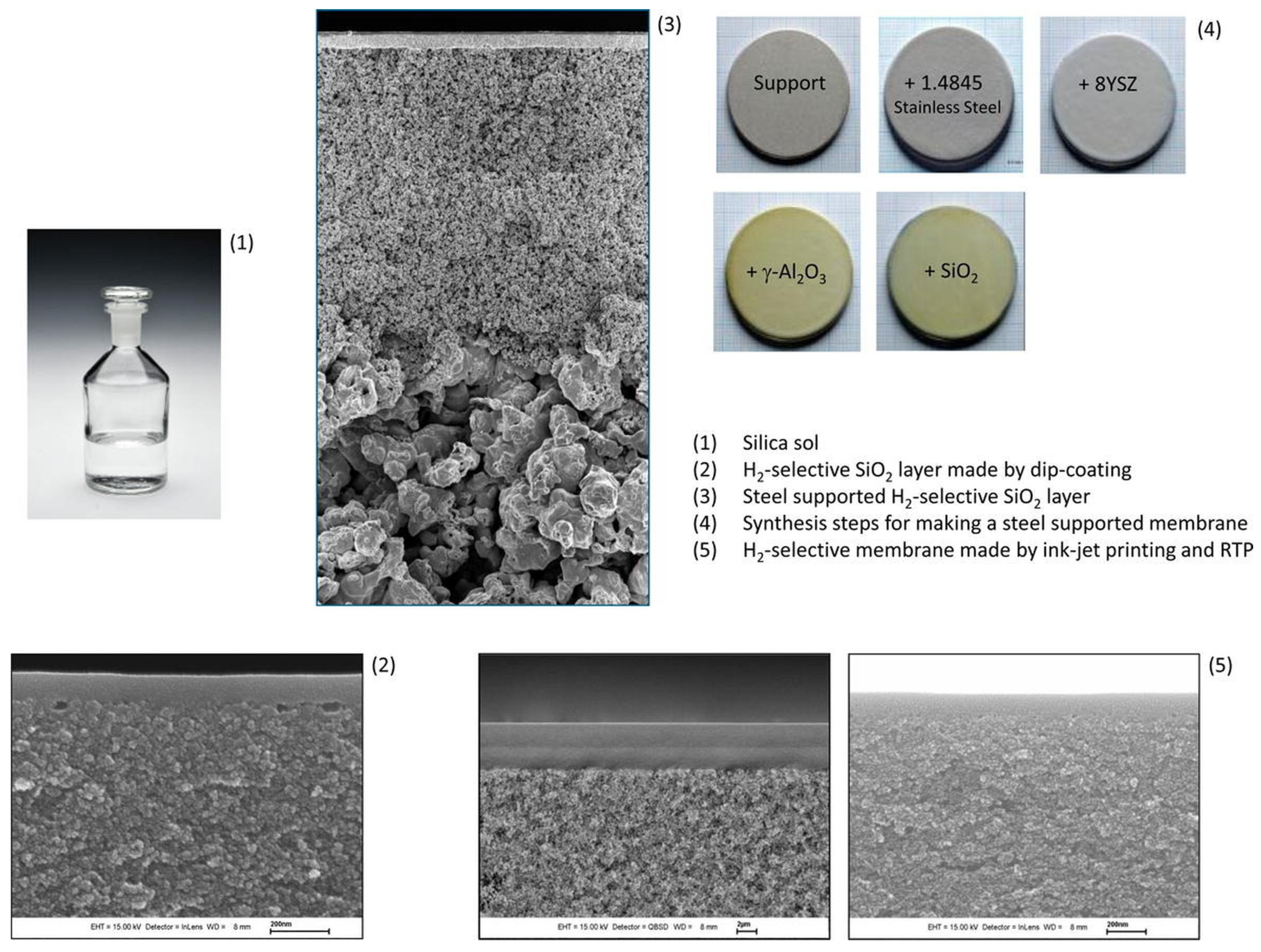 Molecules 29 04676 g006