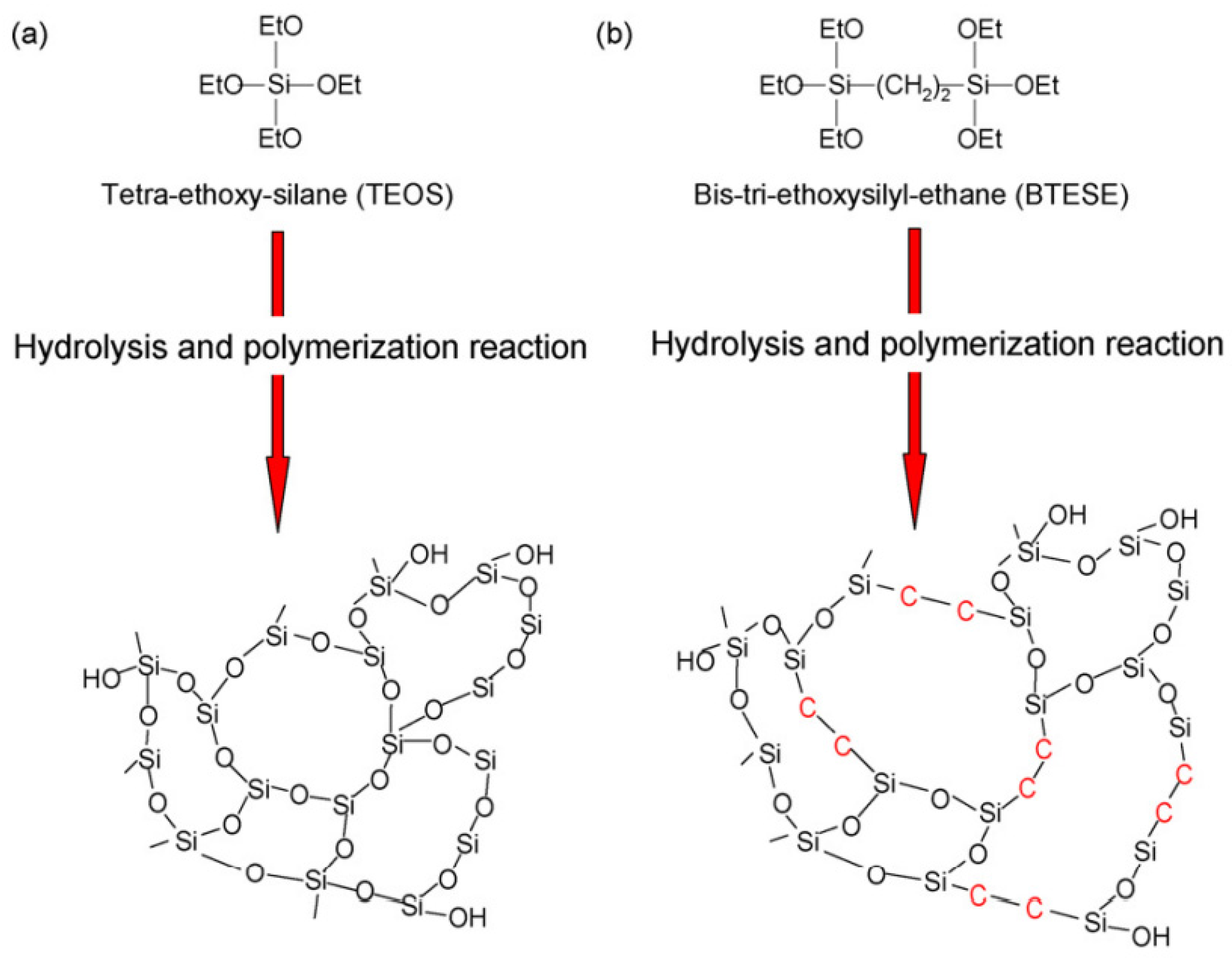 Molecules 29 04676 g007