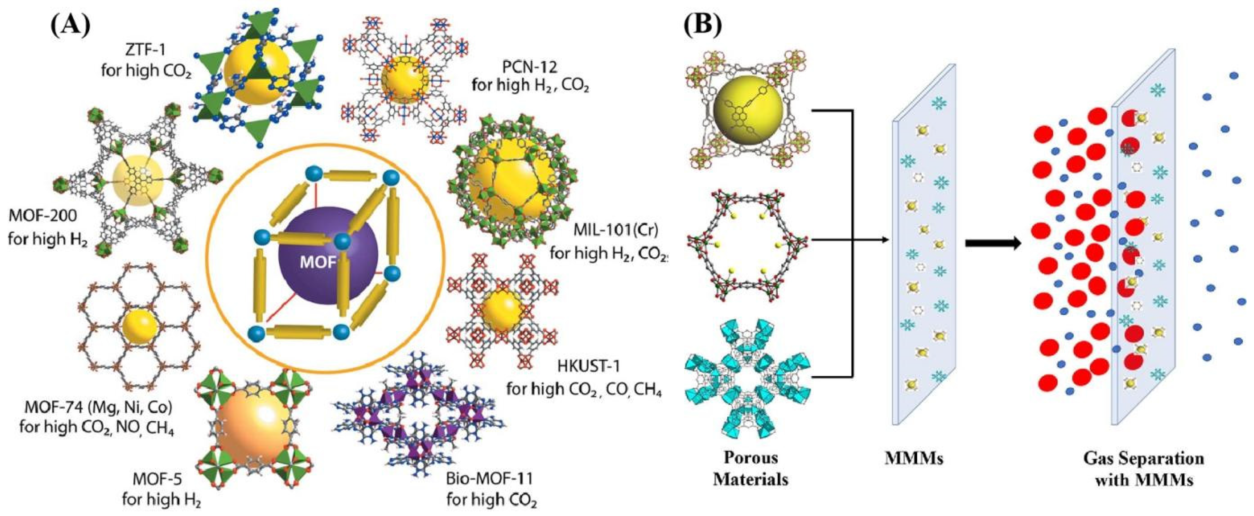 Molecules 29 04676 g021
