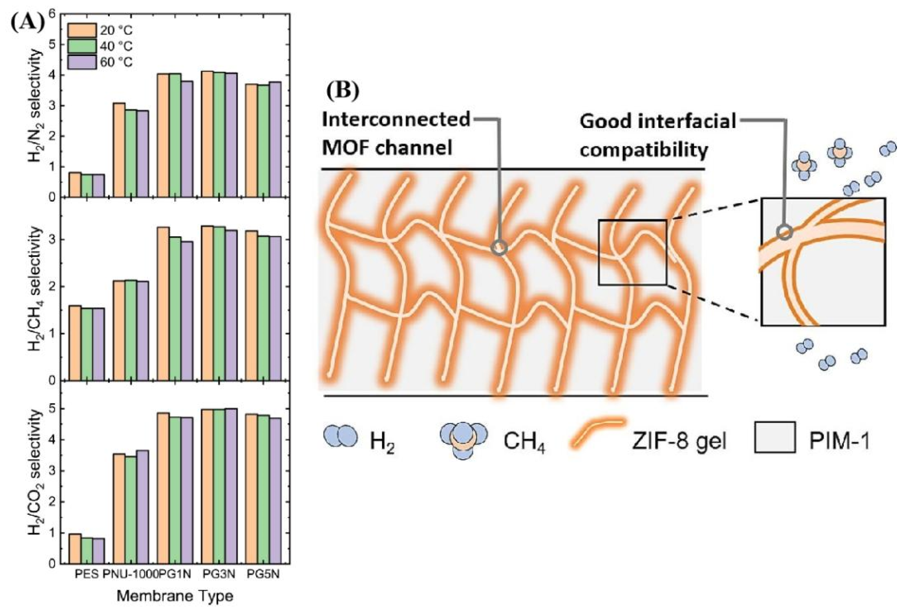 Molecules 29 04676 g024