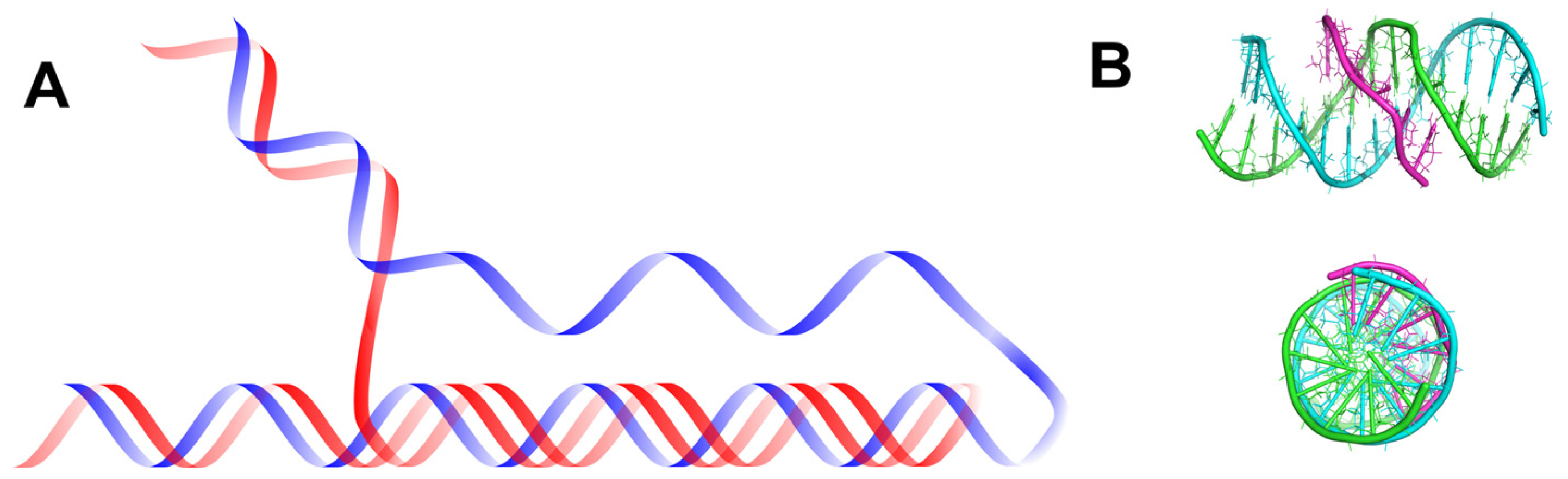 Molecules 29 04683 g004
