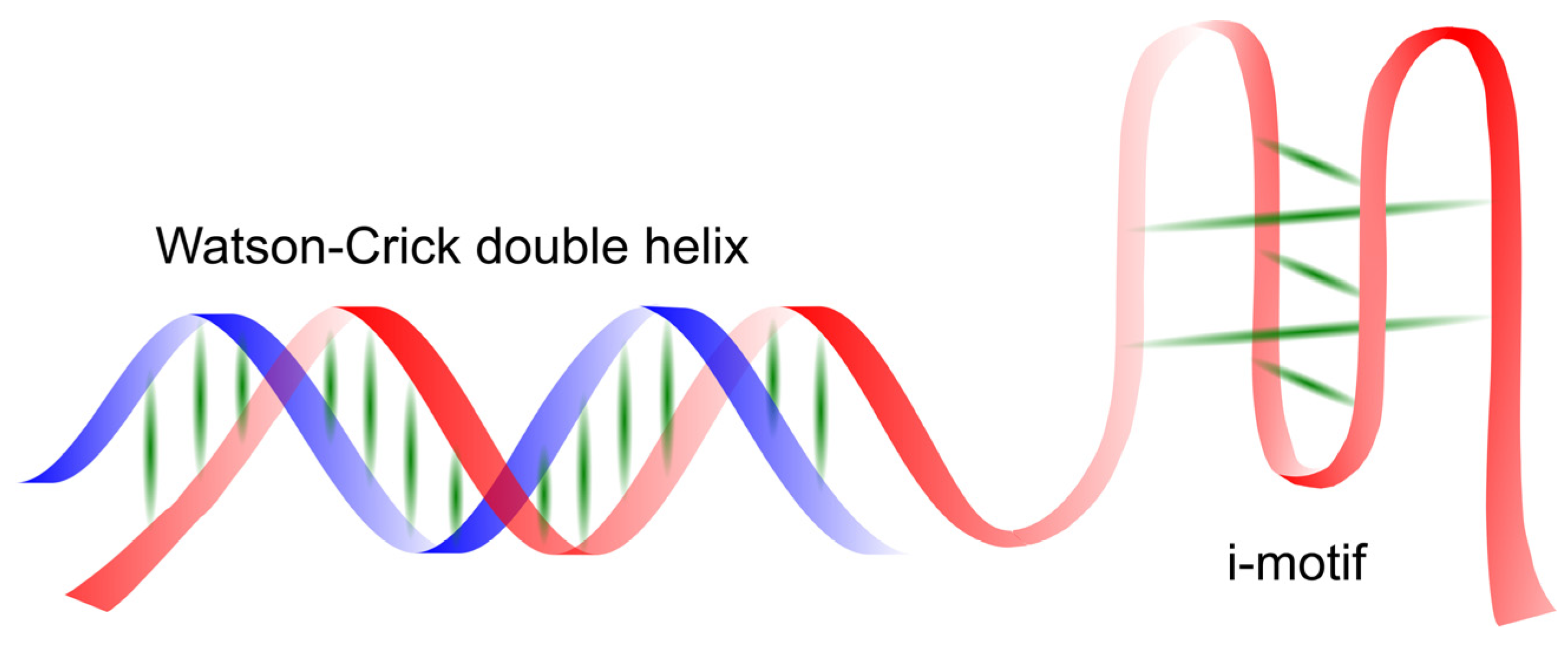 Molecules 29 04683 g006
