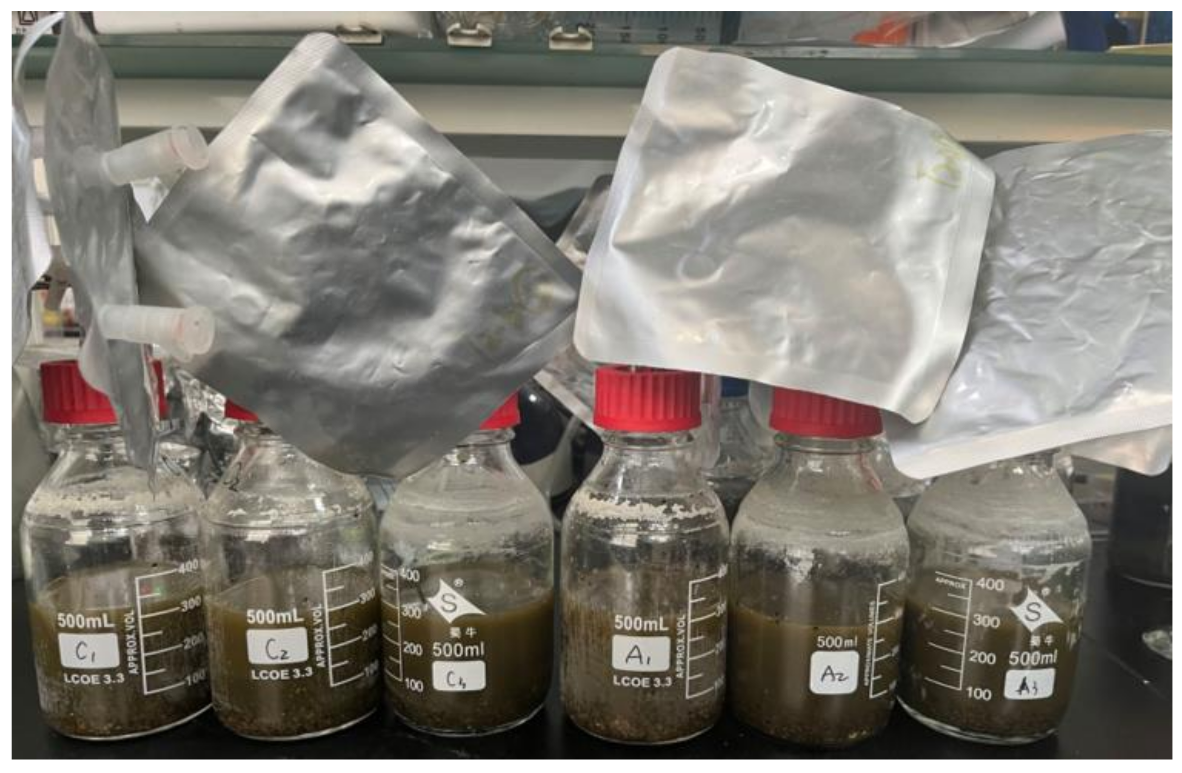 Effects of Polyethylene Terephthalate Microplastics on