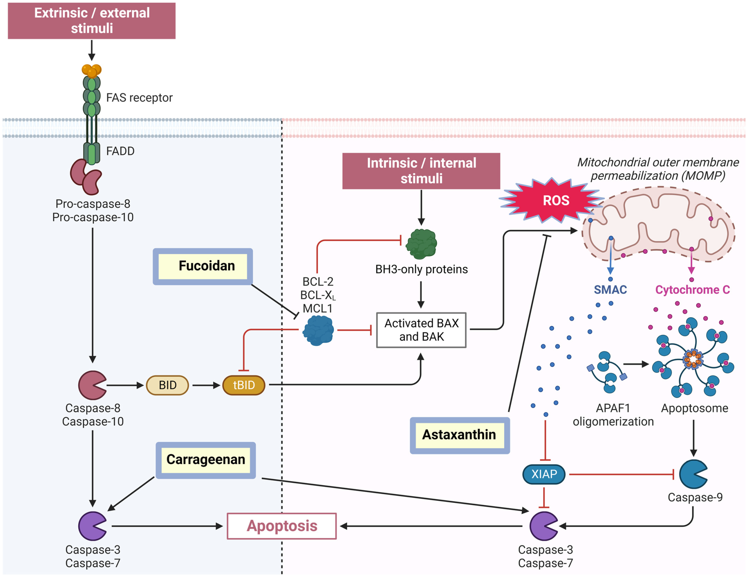 Molecules 29 04695 g002 Molecules 29 04695 g002