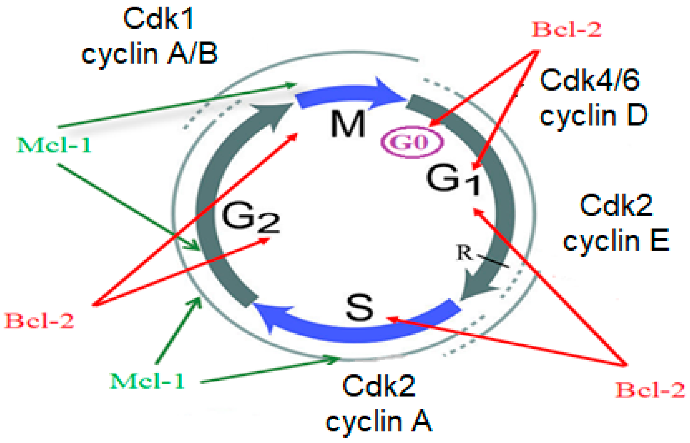 Molecules 29 04697 g002