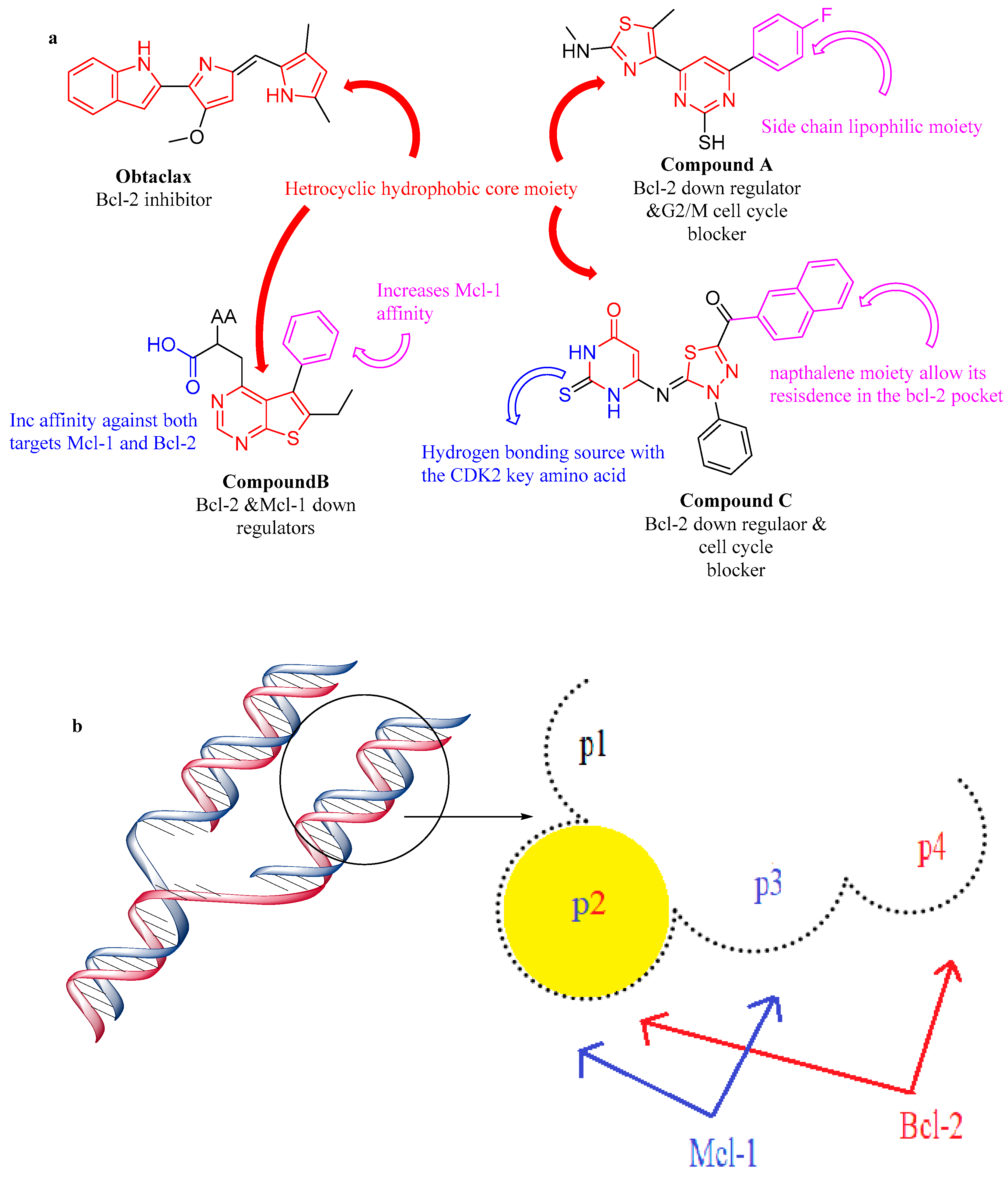 Molecules 29 04697 g003