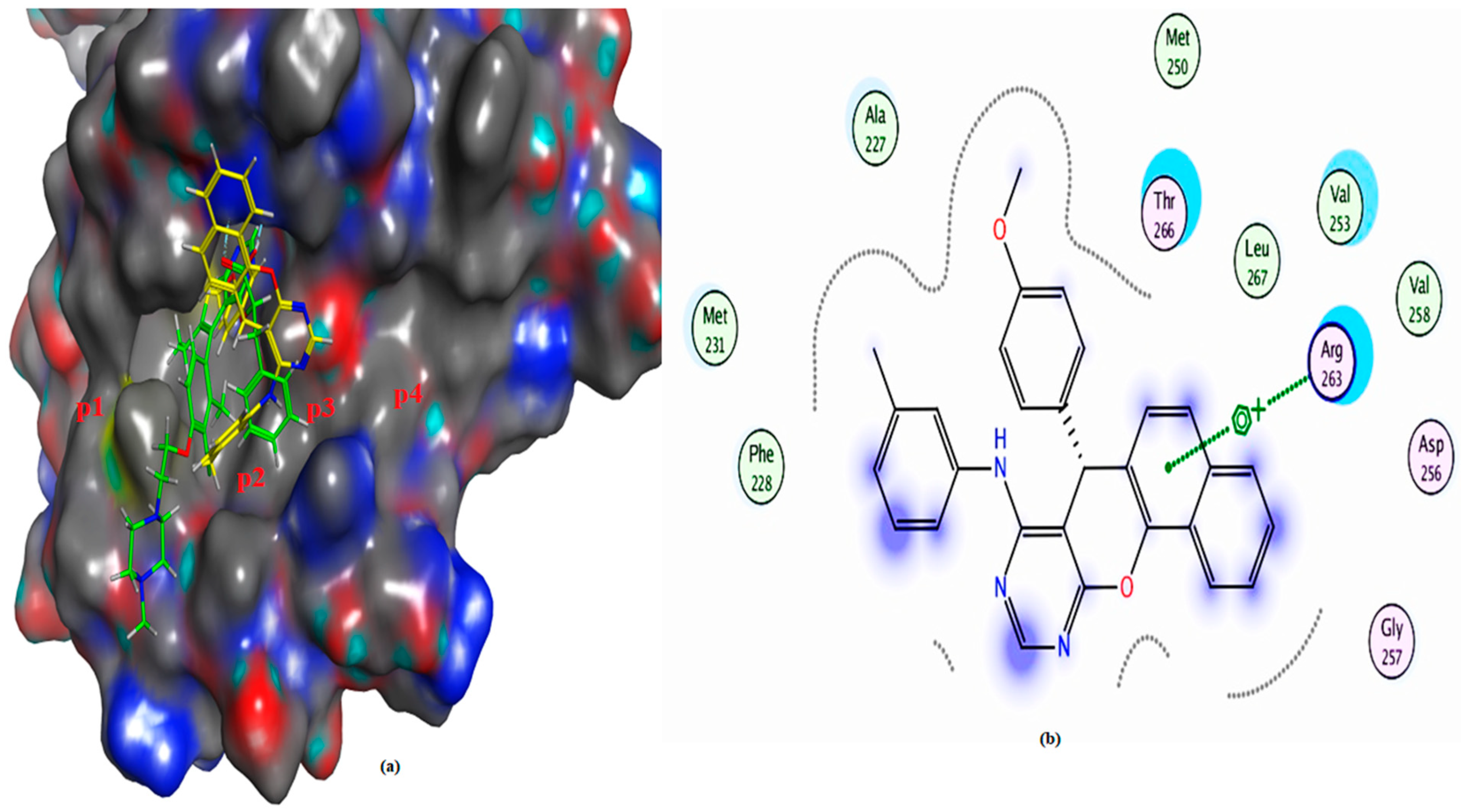Molecules 29 04697 g014