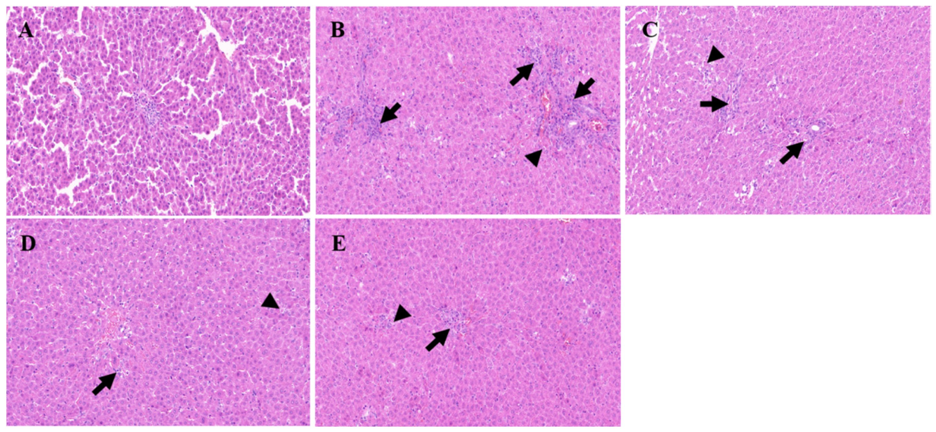 Molecules 29 04701 g013 Molecules 29 04701 g013