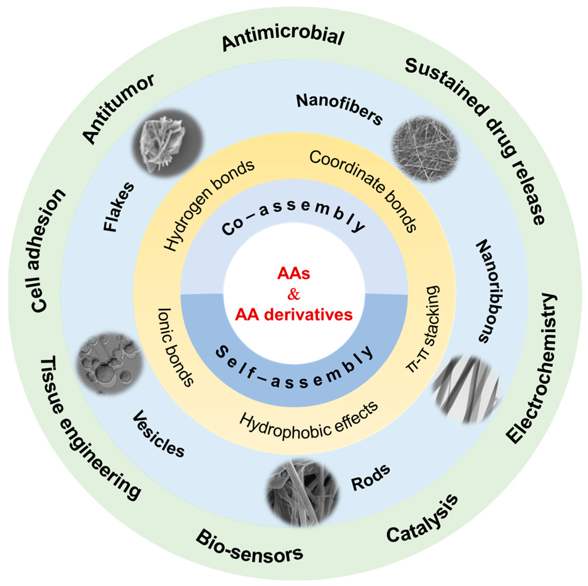 Molecules 29 04705 g001