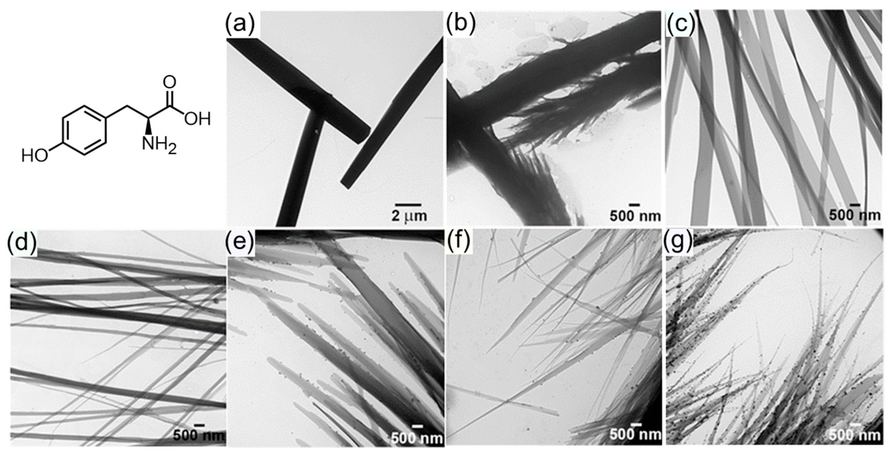 Molecules 29 04705 g002