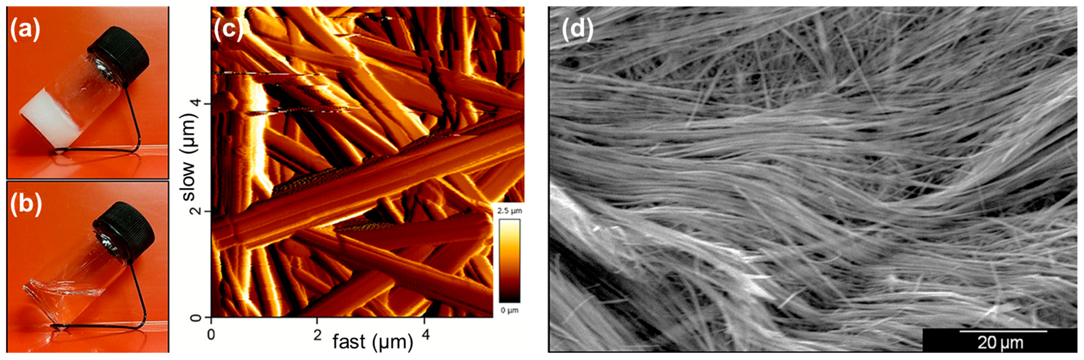 Molecules 29 04705 g003