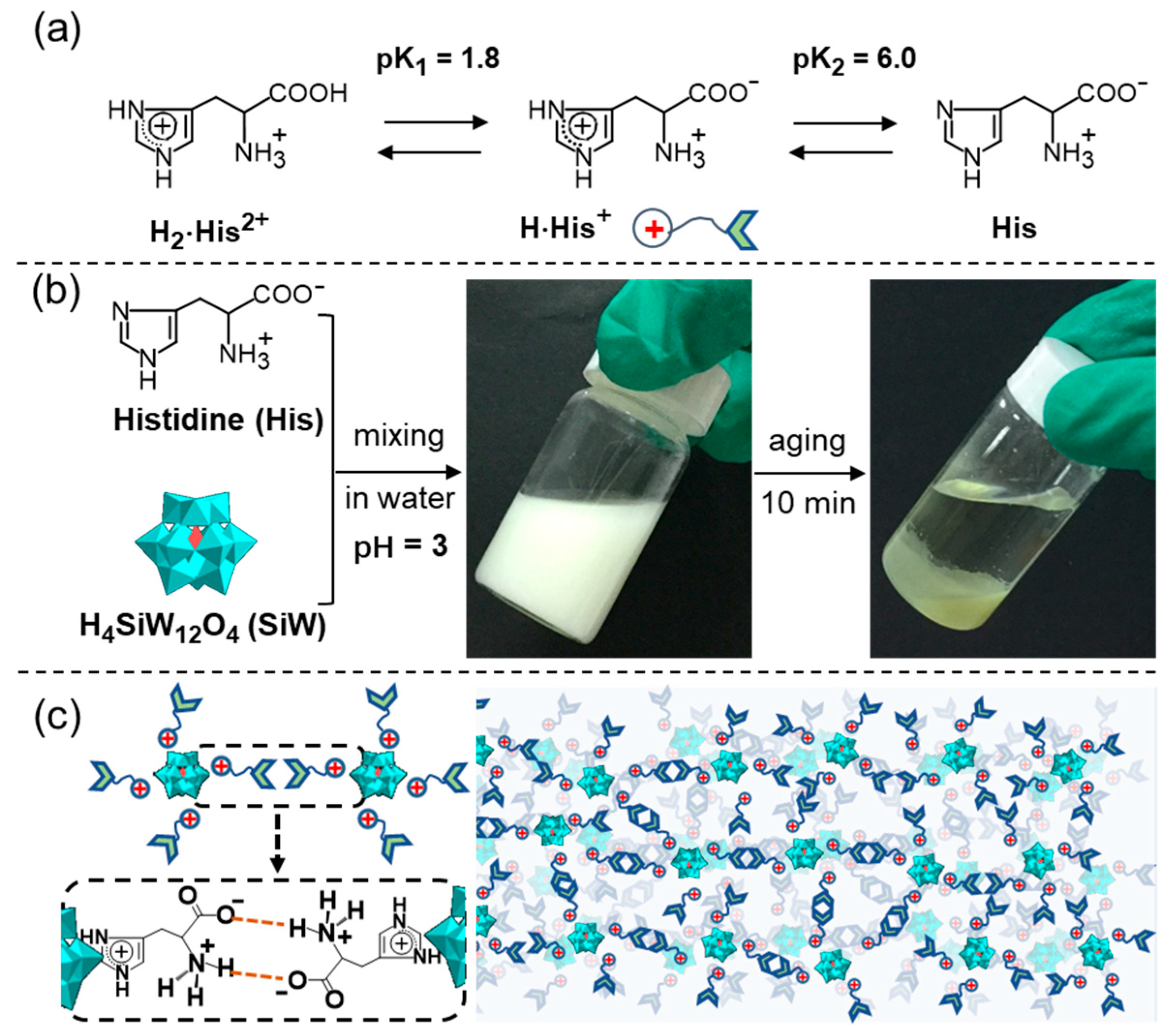 Molecules 29 04705 g010