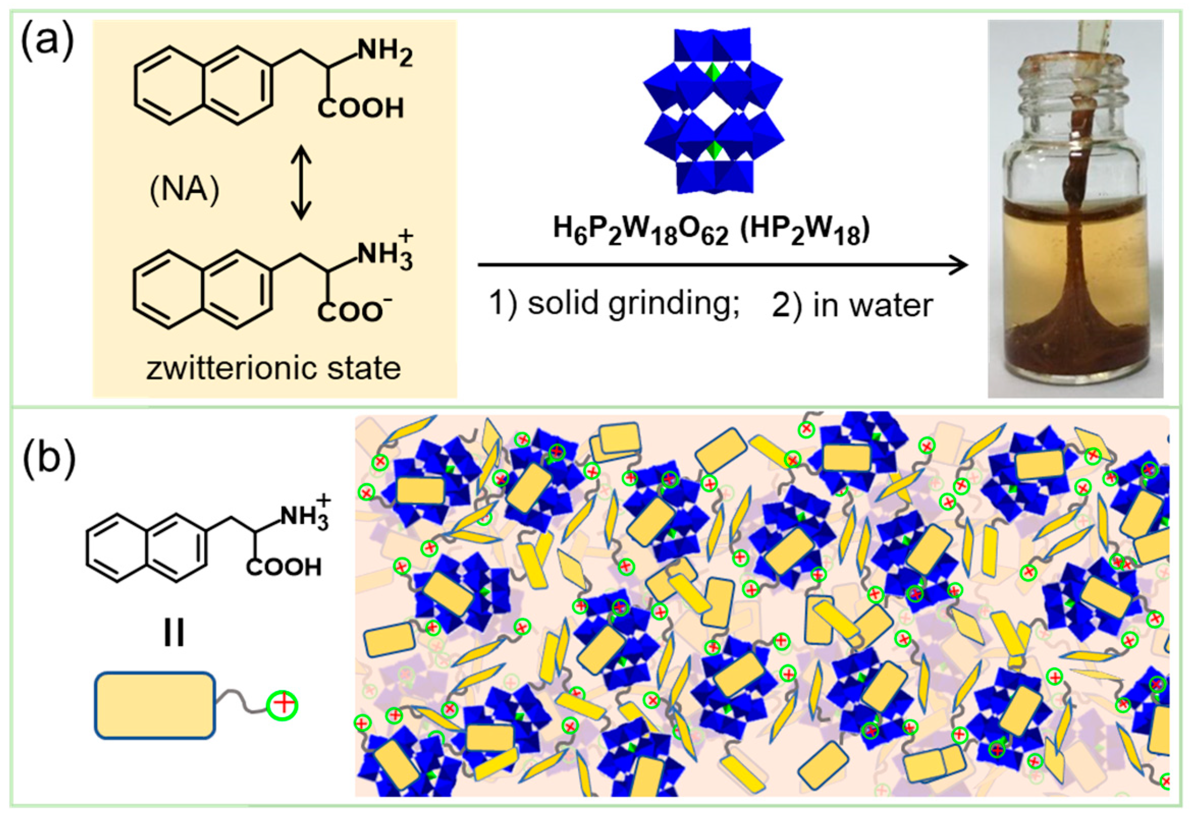 Molecules 29 04705 g011