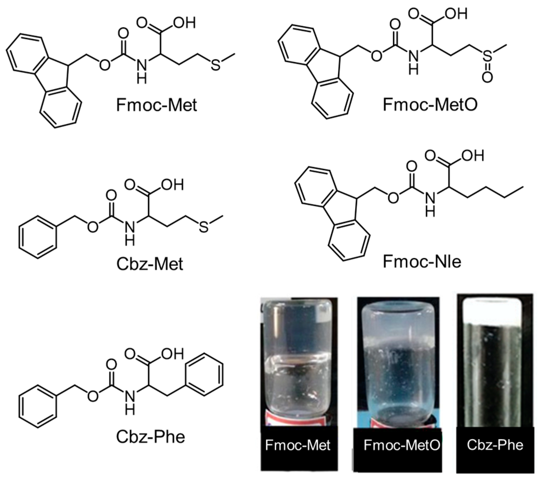 Molecules 29 04705 g014