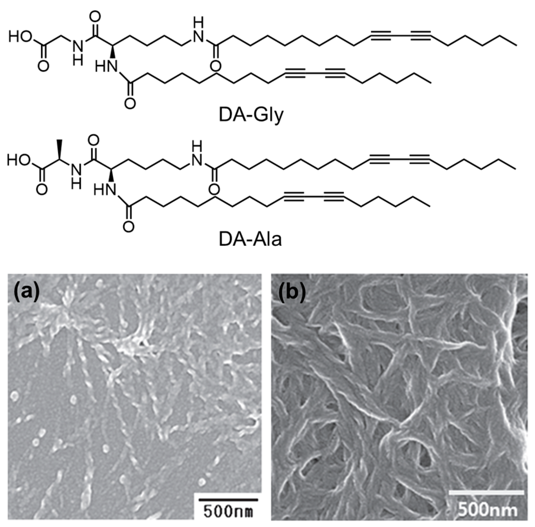 Molecules 29 04705 g015