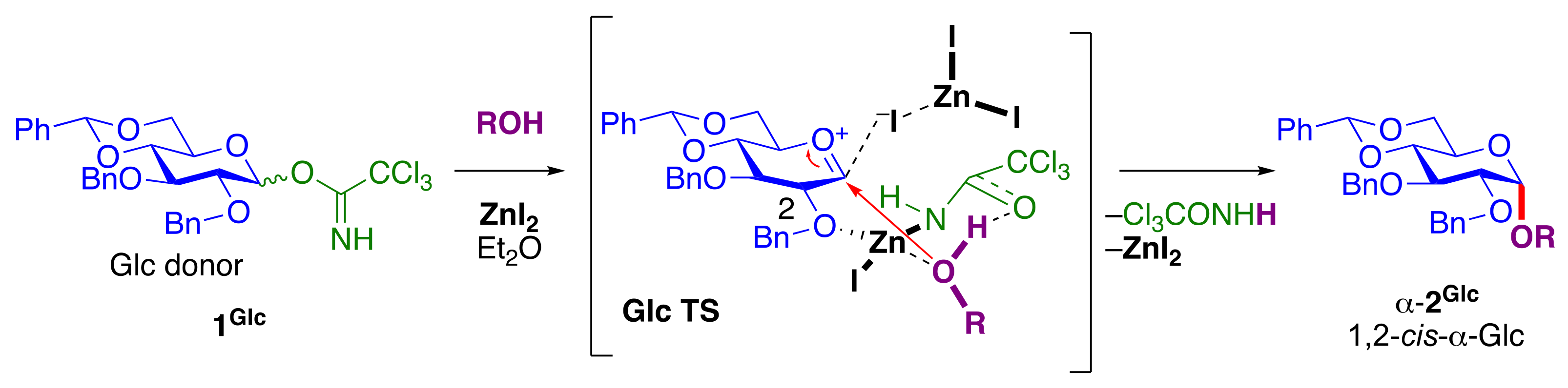 Molecules 29 04710 g001