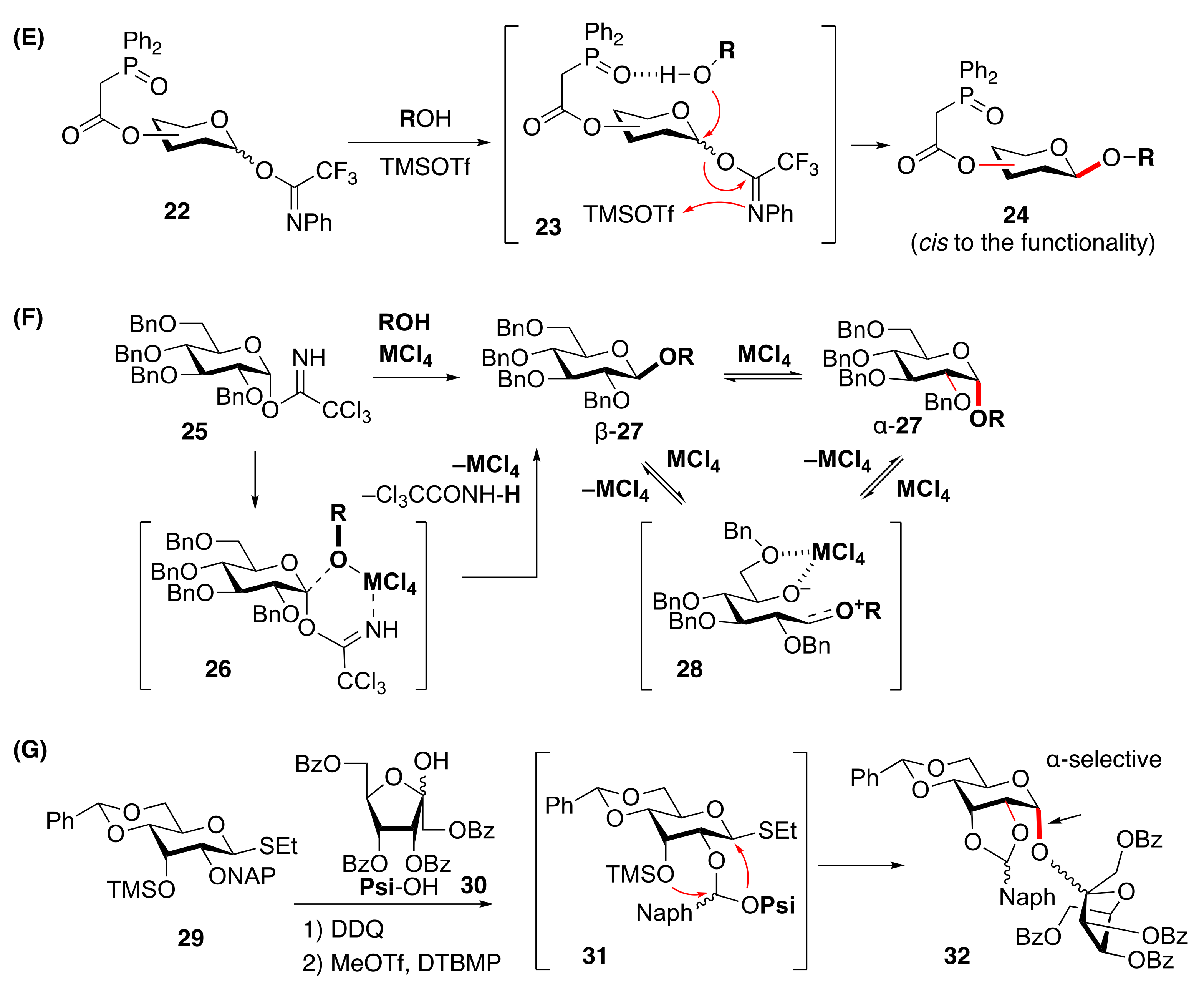 Molecules 29 04710 g002b