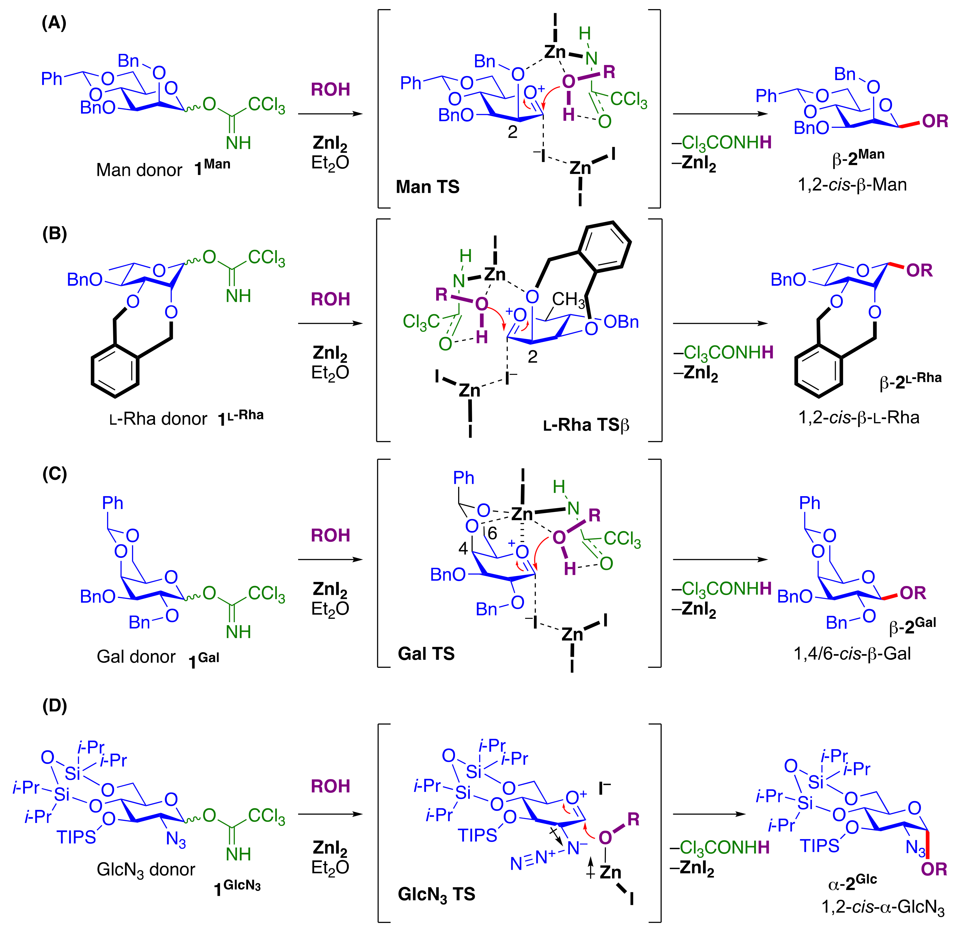 Molecules 29 04710 g005