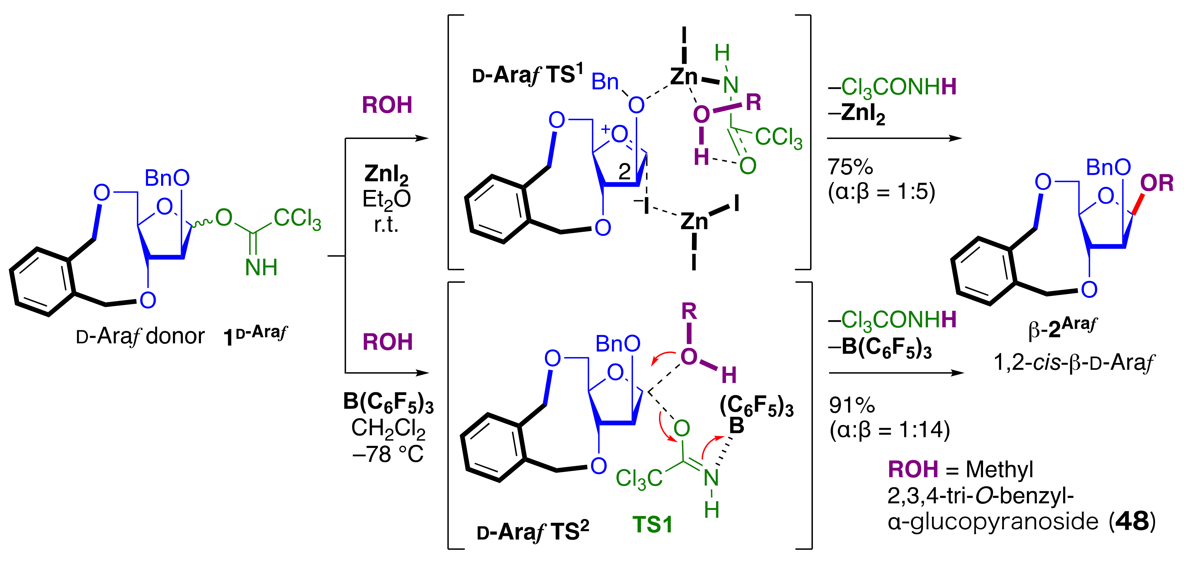 Molecules 29 04710 g006