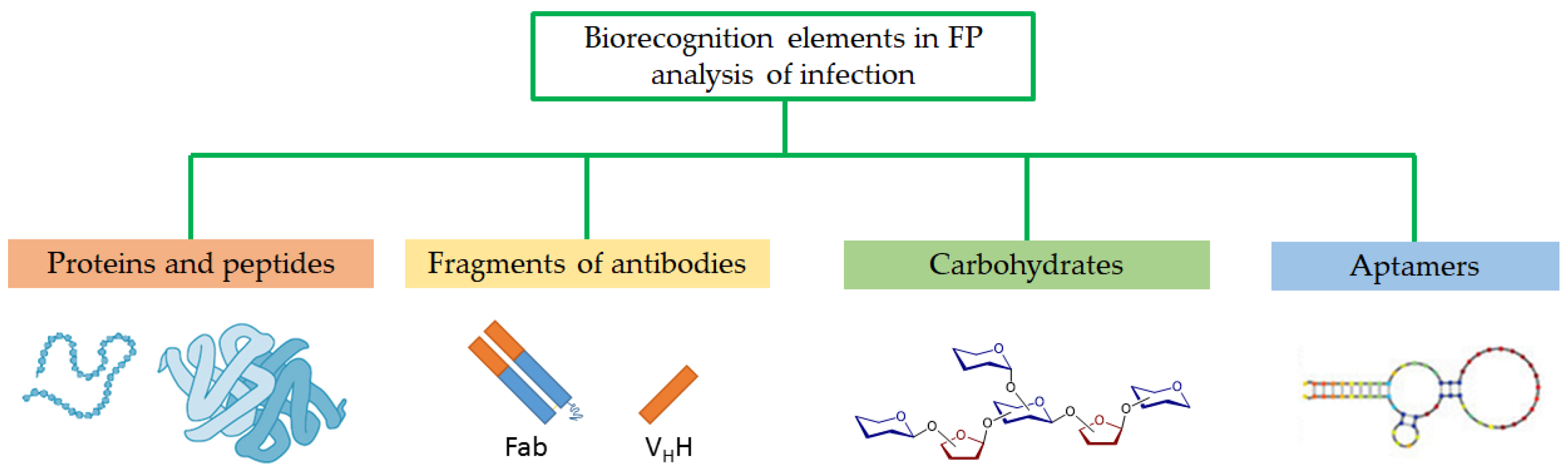Molecules 29 04712 g003