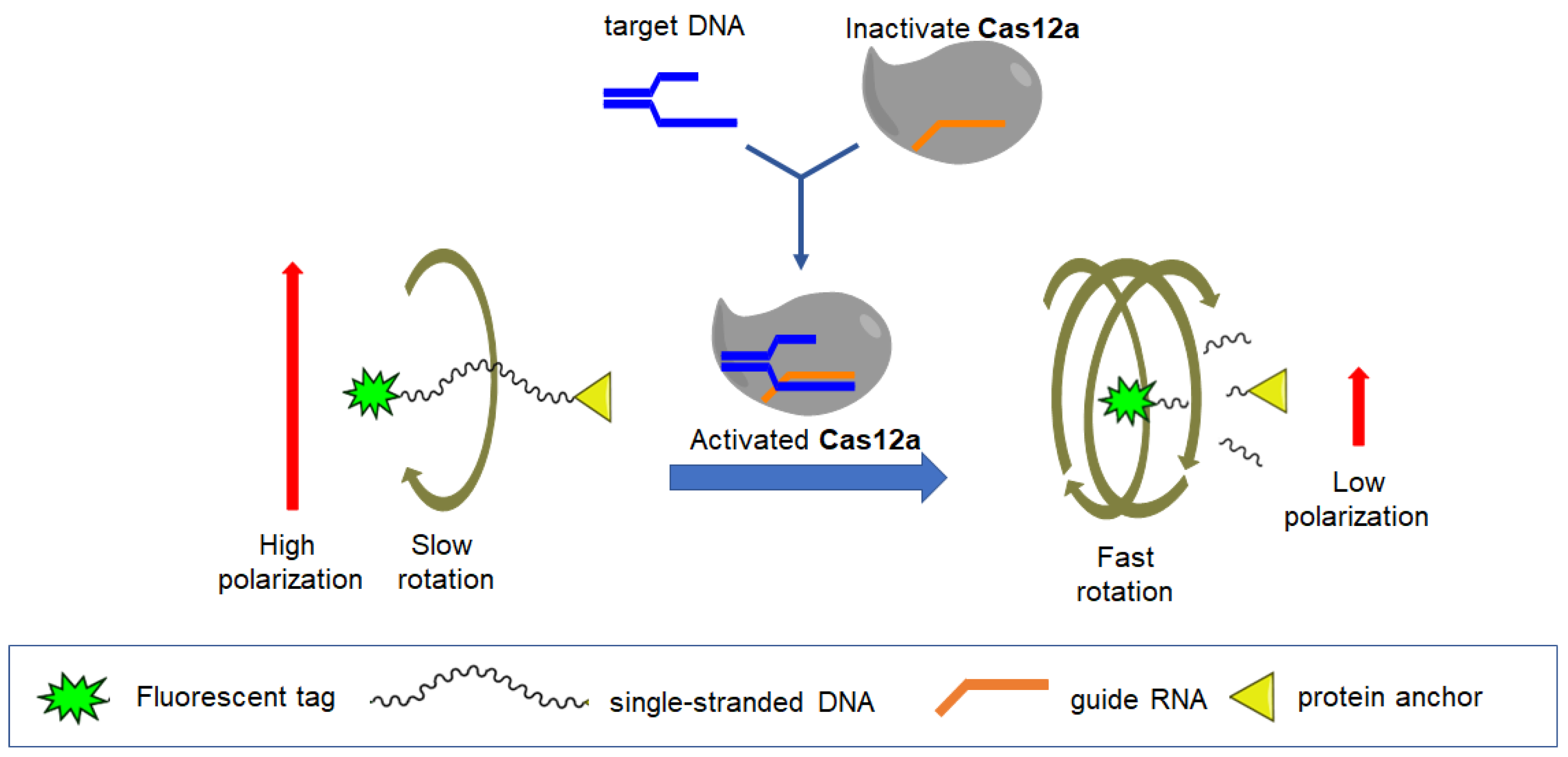 Molecules 29 04712 g005