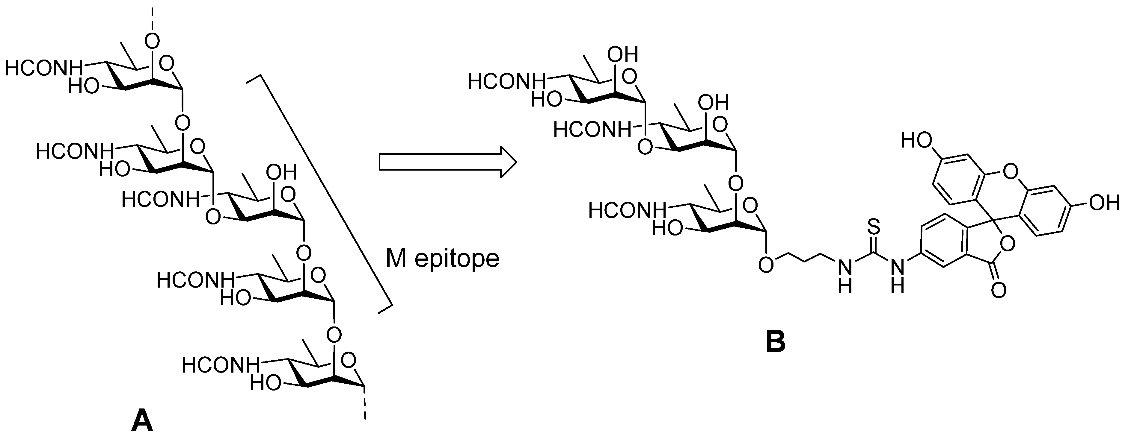 Molecules 29 04712 g006