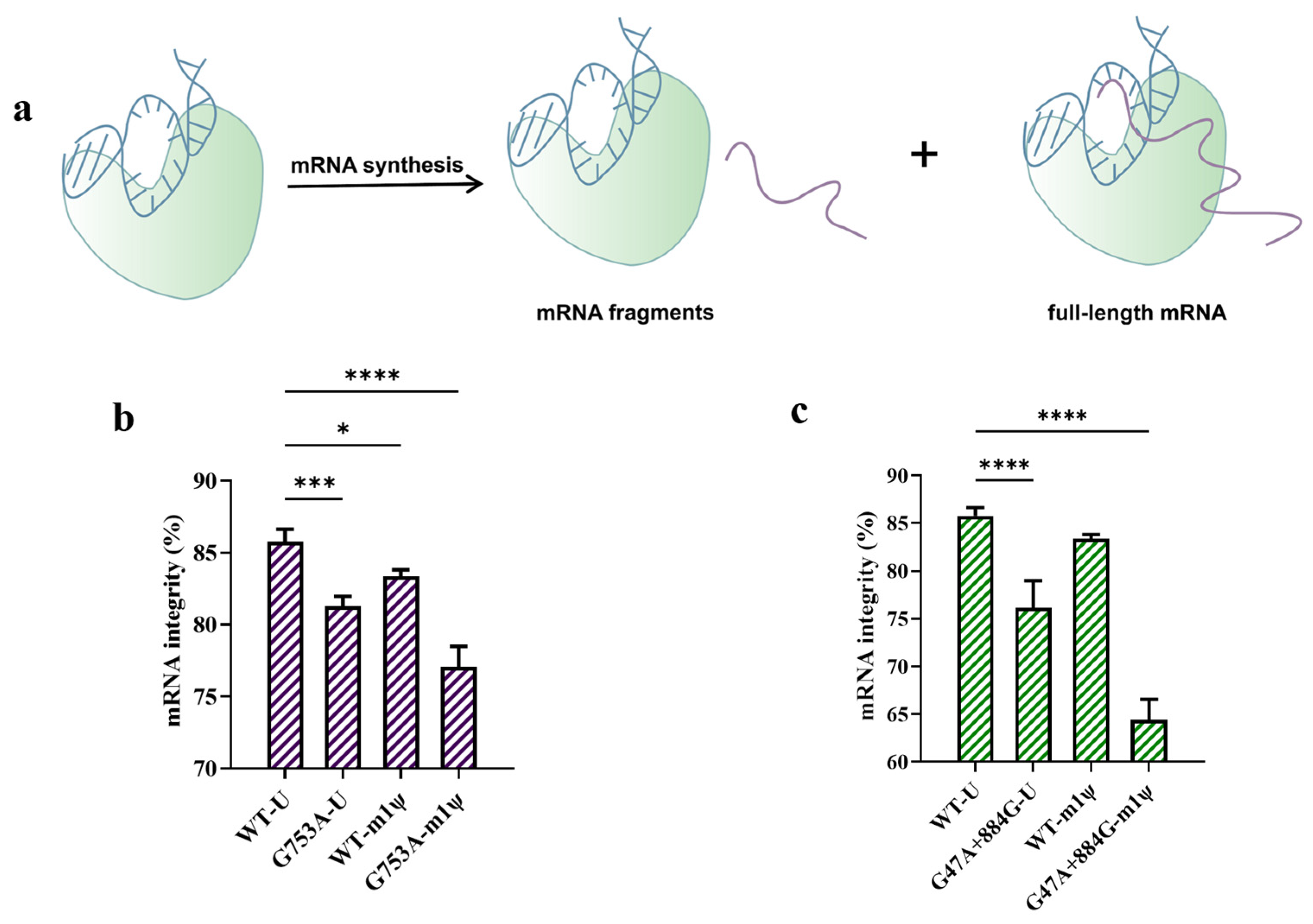 Molecules 29 04713 g005