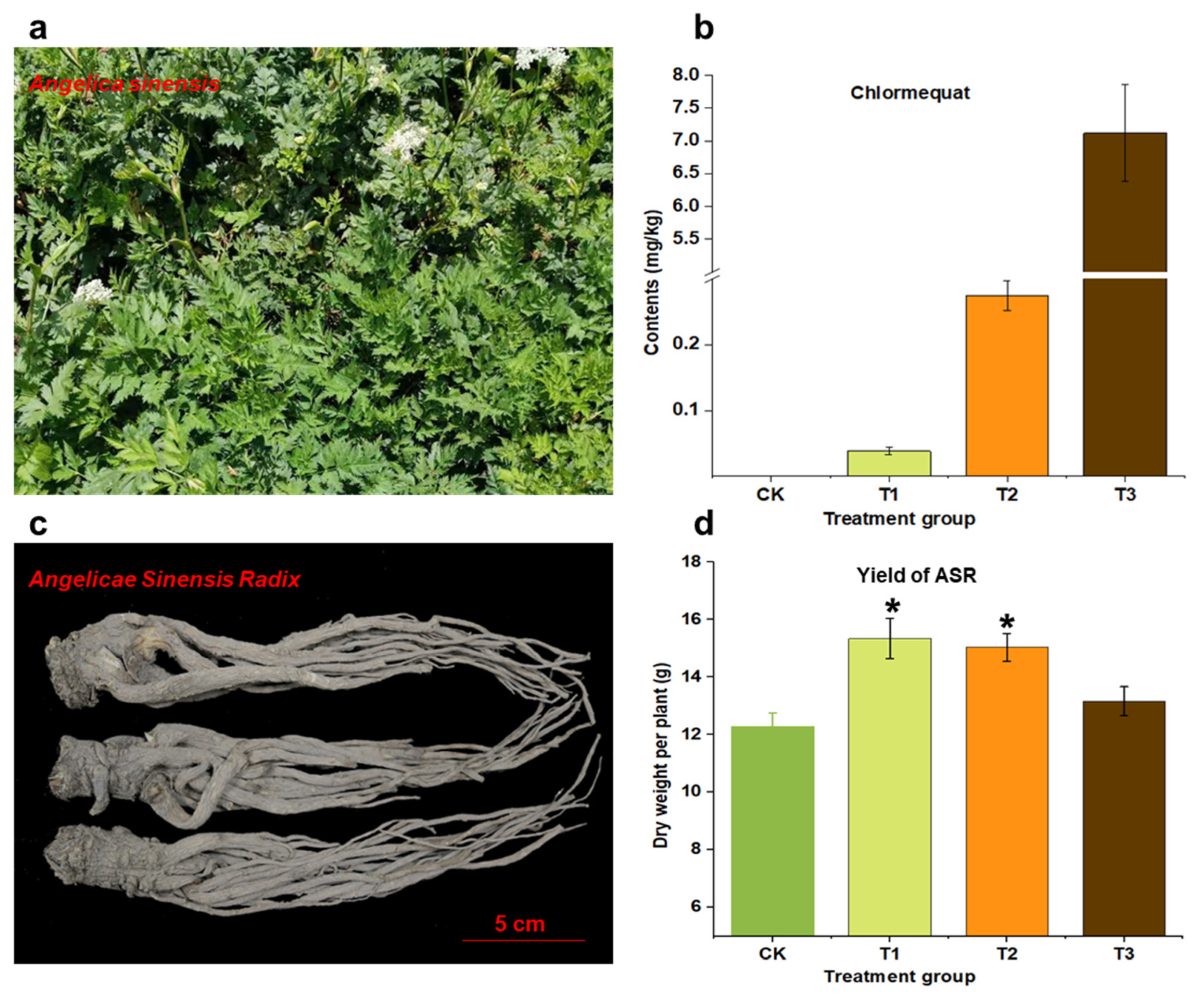 Molecules 29 04725 g001