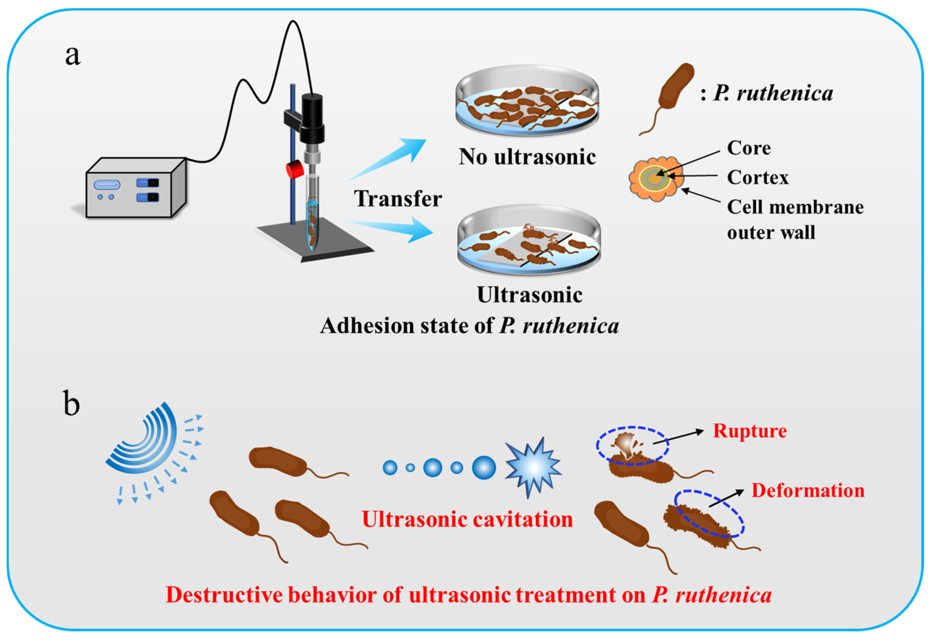 Molecules 29 04735 g001 Molecules 29 04735 g001
