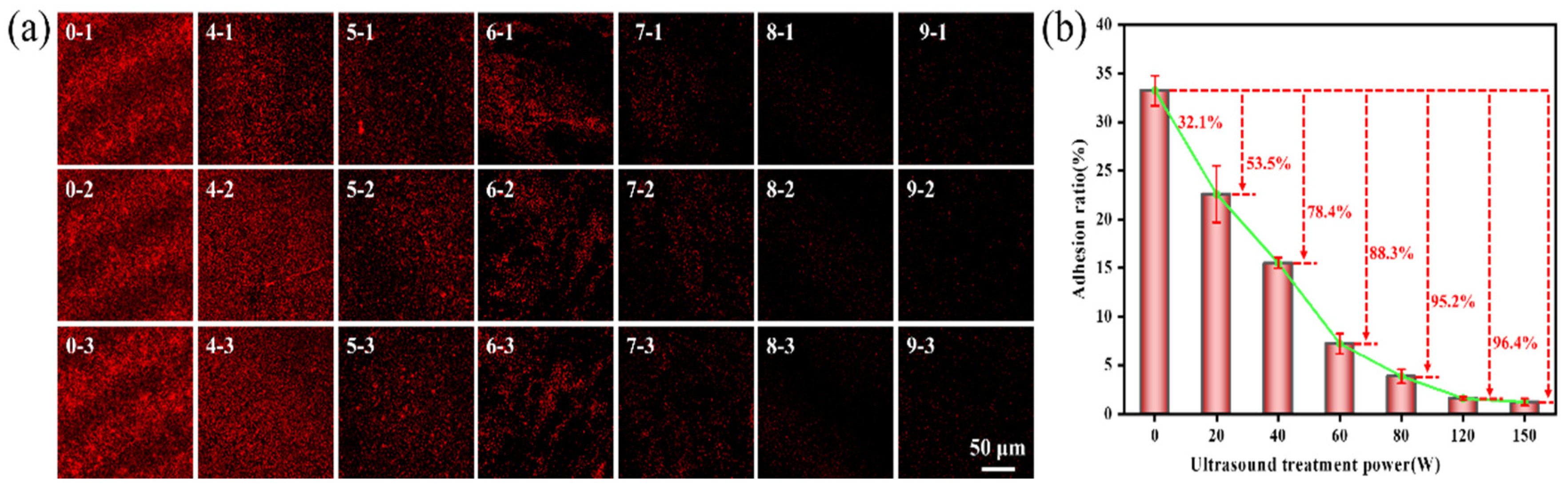 Molecules 29 04735 g003 Molecules 29 04735 g003