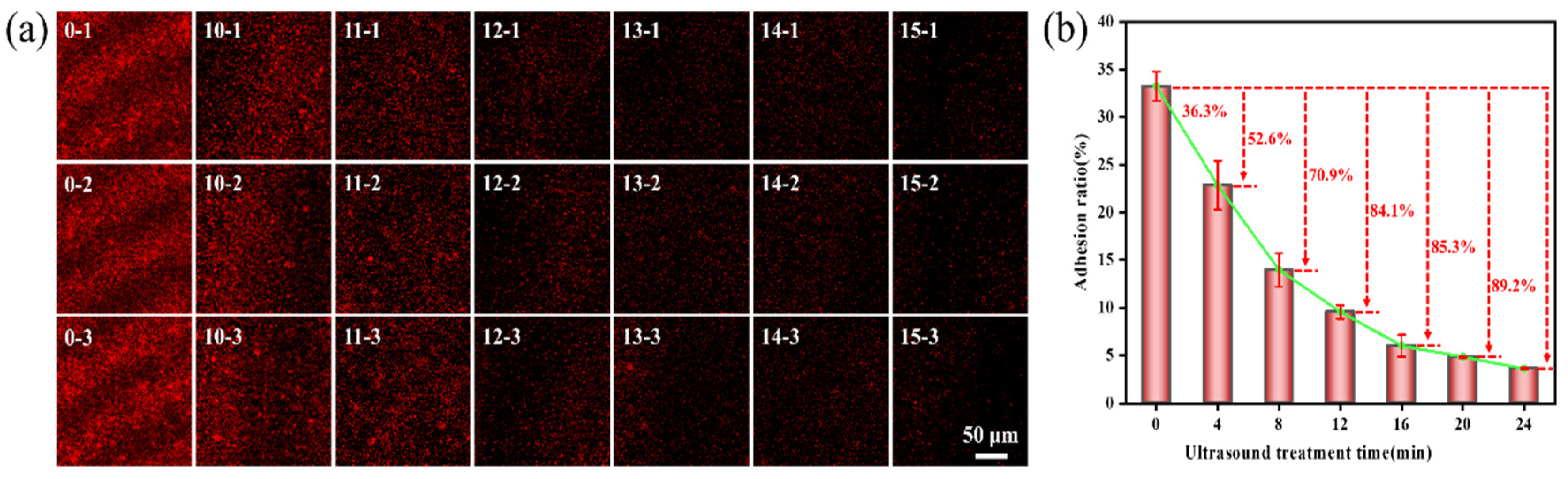 Molecules 29 04735 g004 Molecules 29 04735 g004