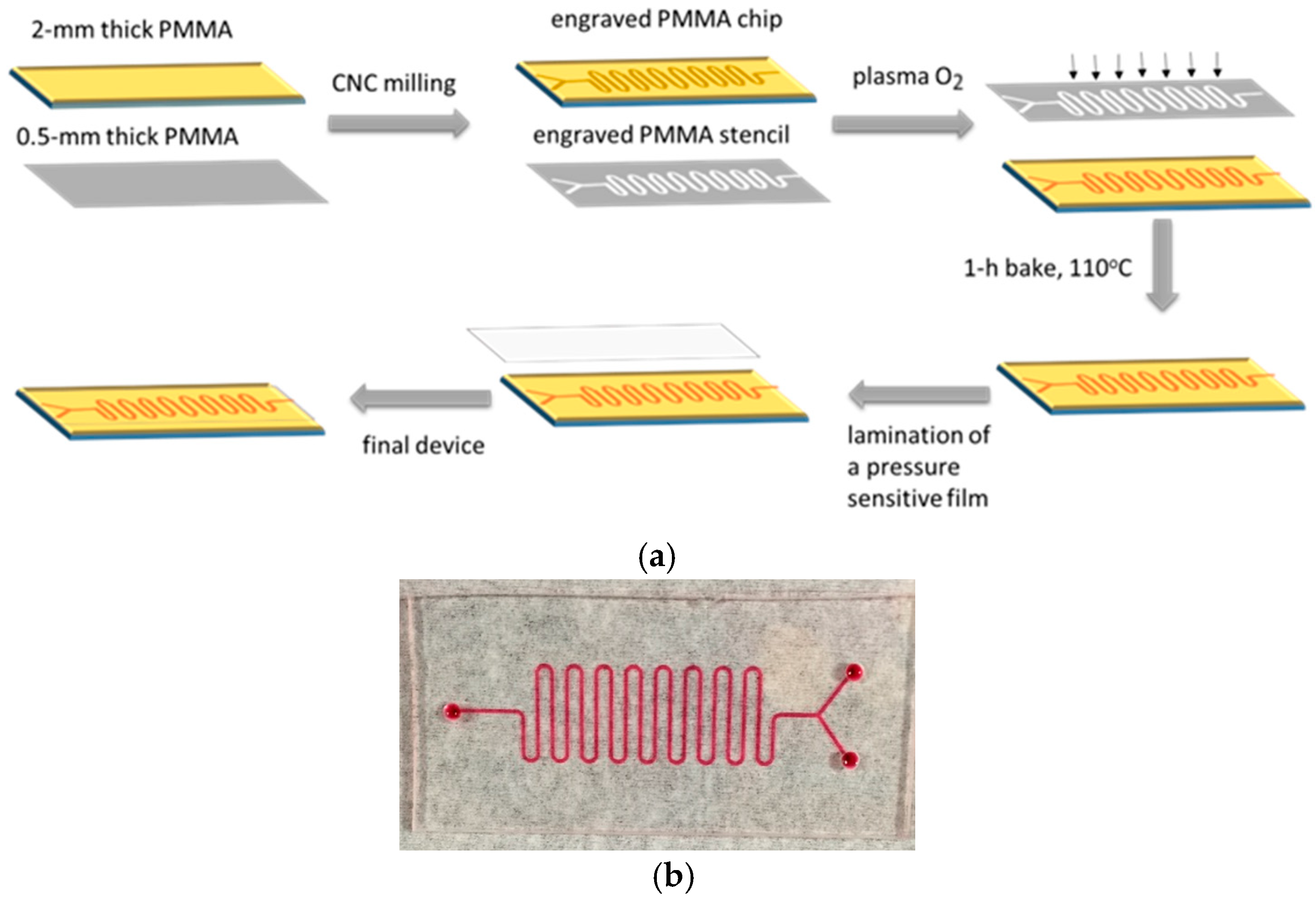 Molecules 29 04736 g001