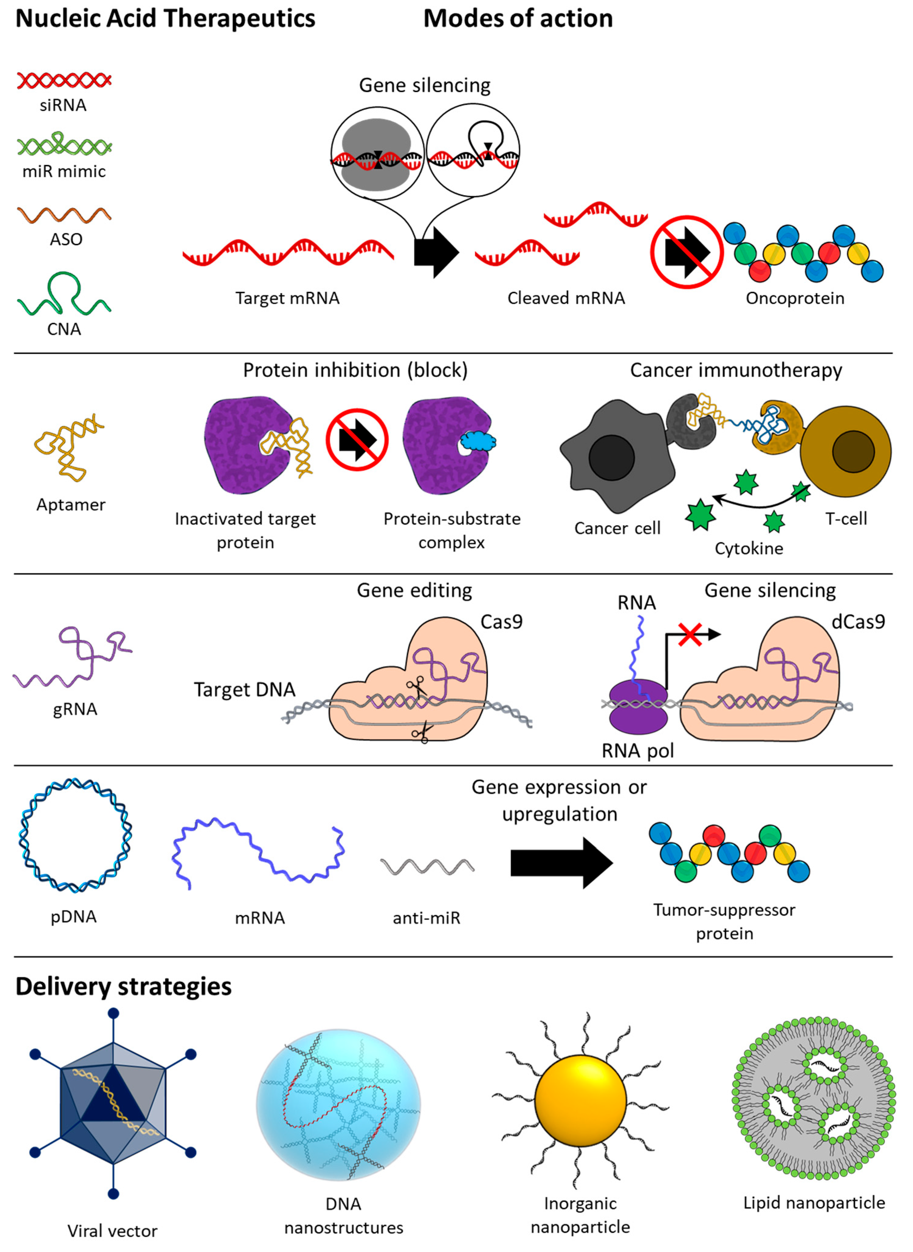Molecules 29 04737 g001