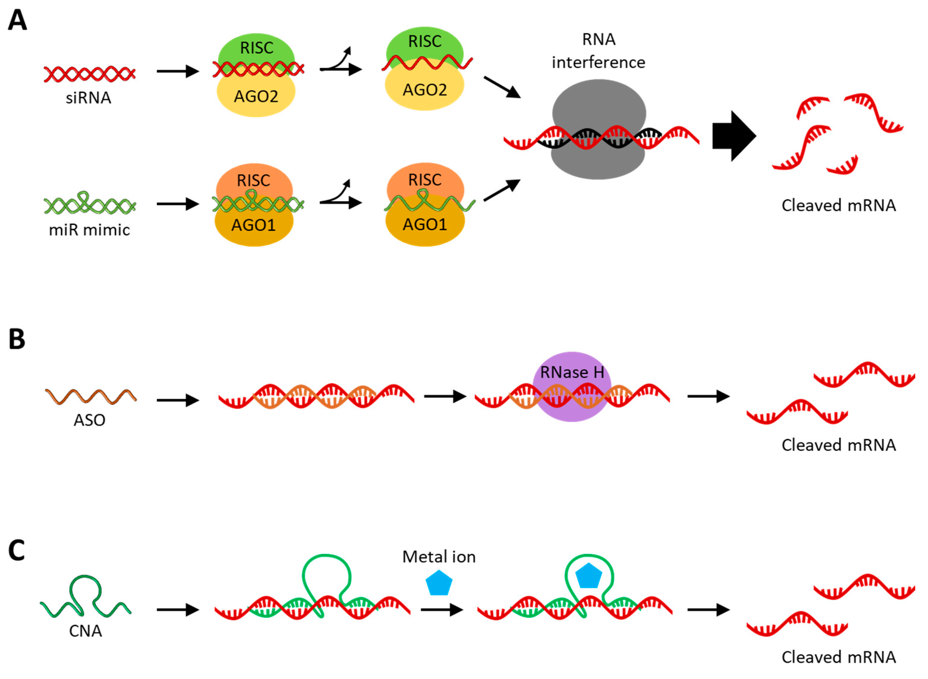 Molecules 29 04737 g002