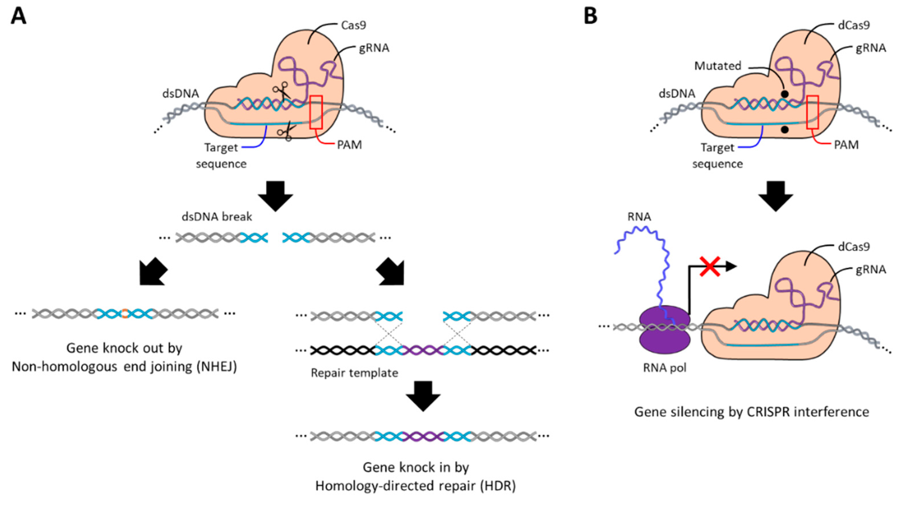 Molecules 29 04737 g008