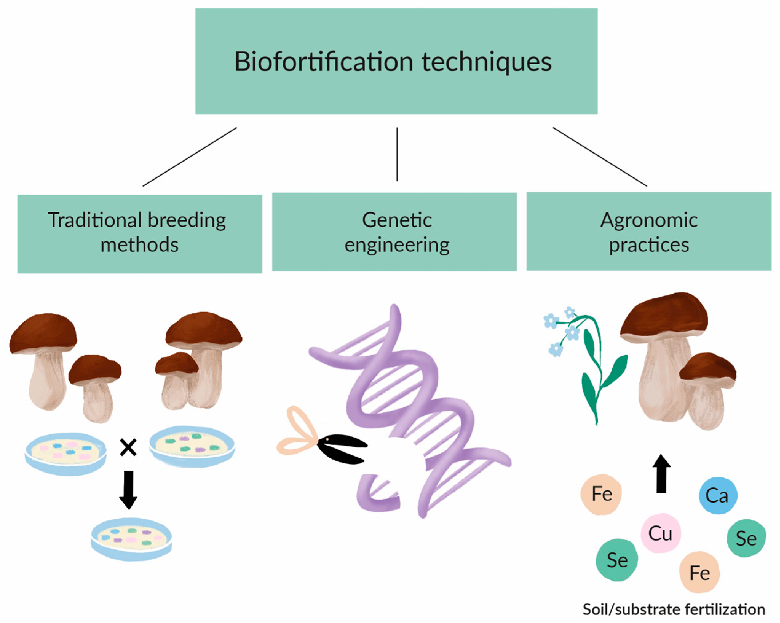 Molecules 29 04740 g002