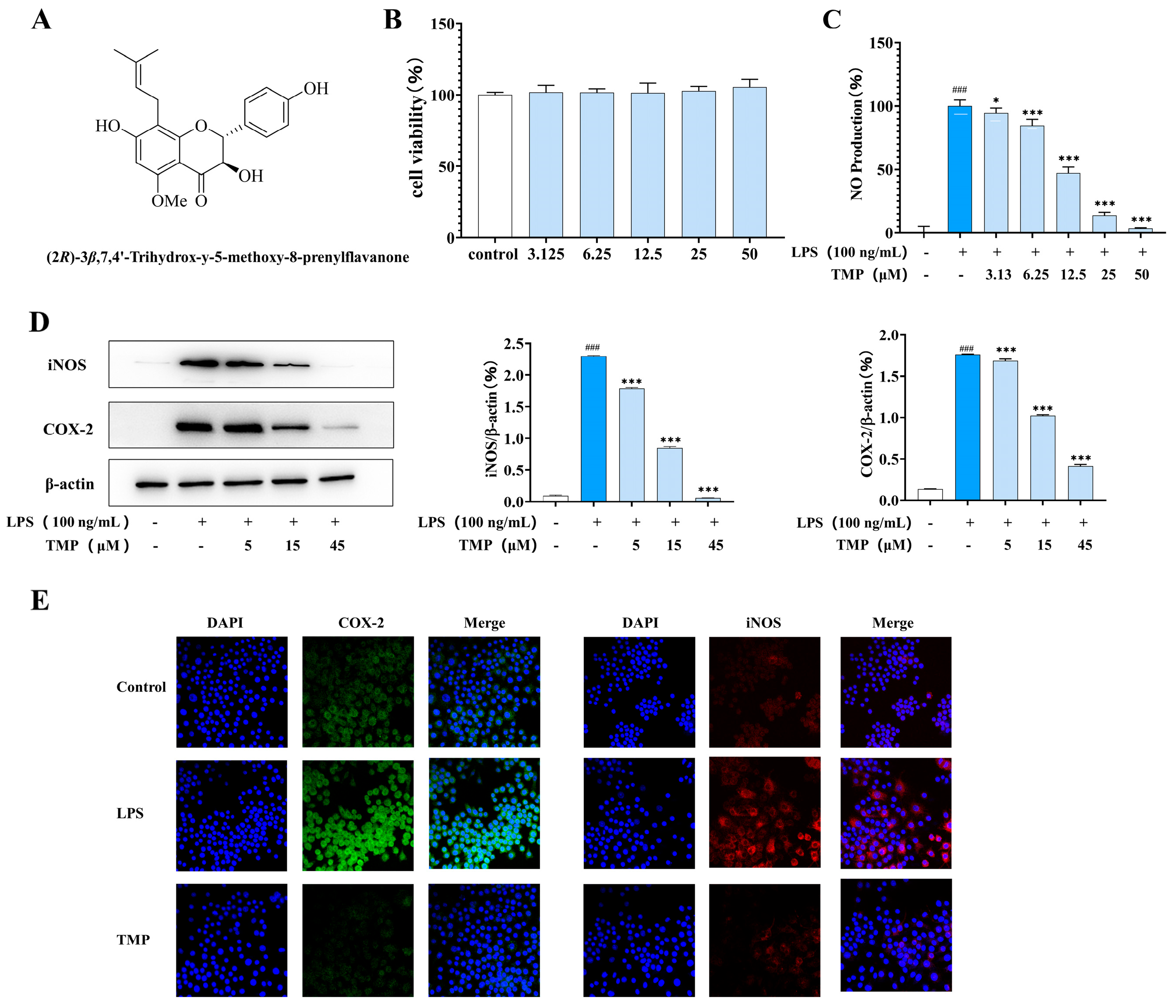 Molecules 29 04741 g001