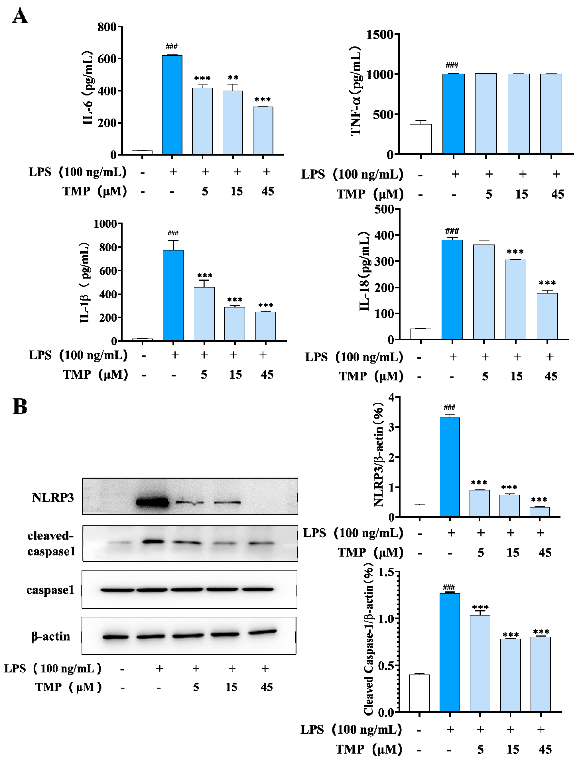 Molecules 29 04741 g002