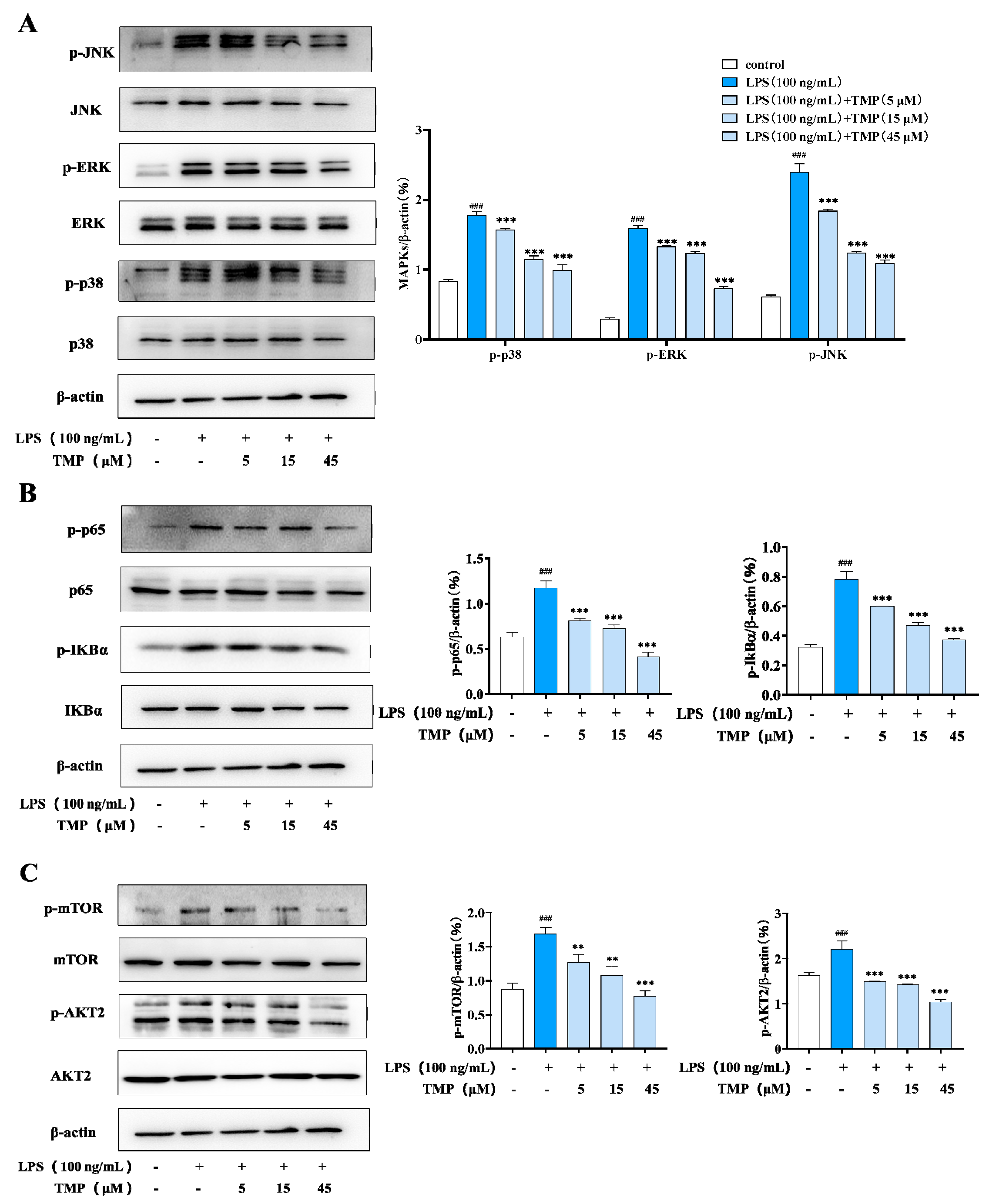 Molecules 29 04741 g003