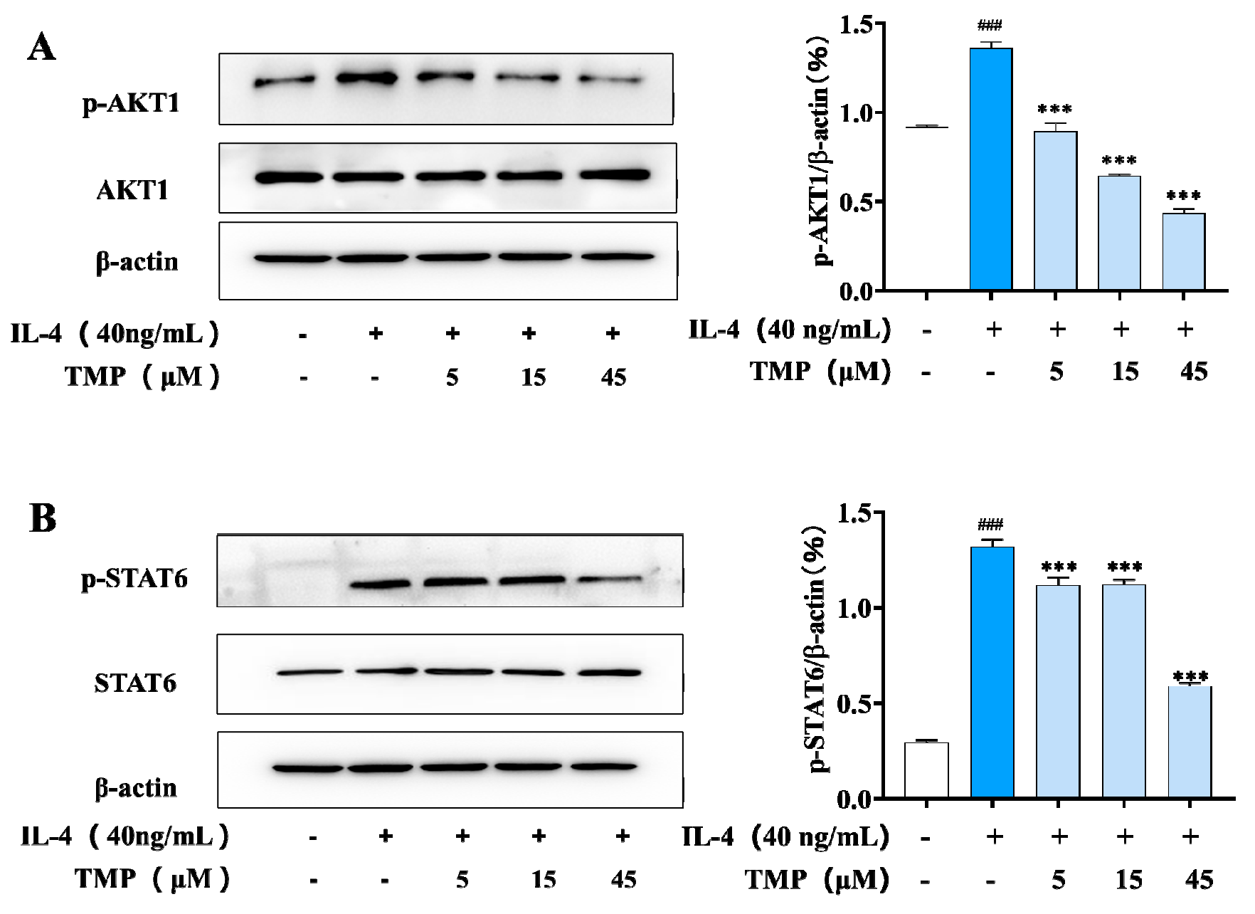 Molecules 29 04741 g005