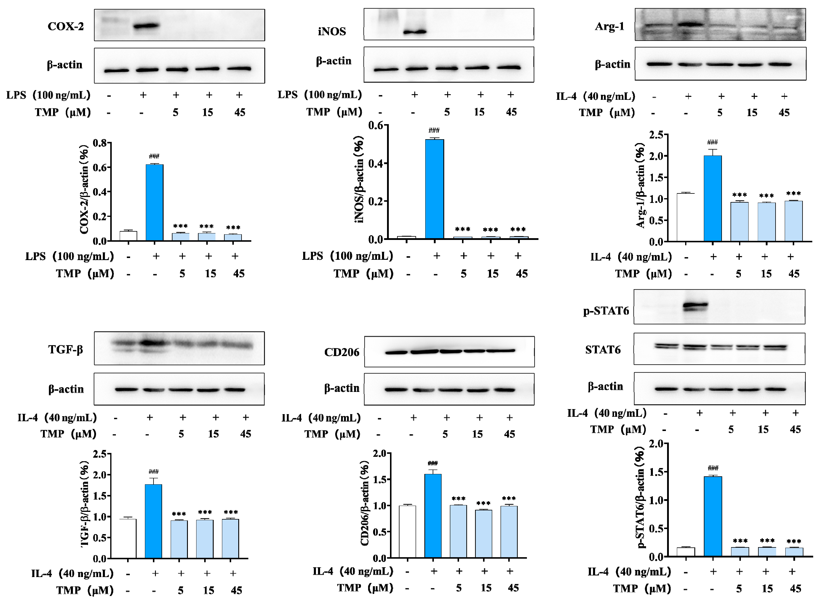 Molecules 29 04741 g006