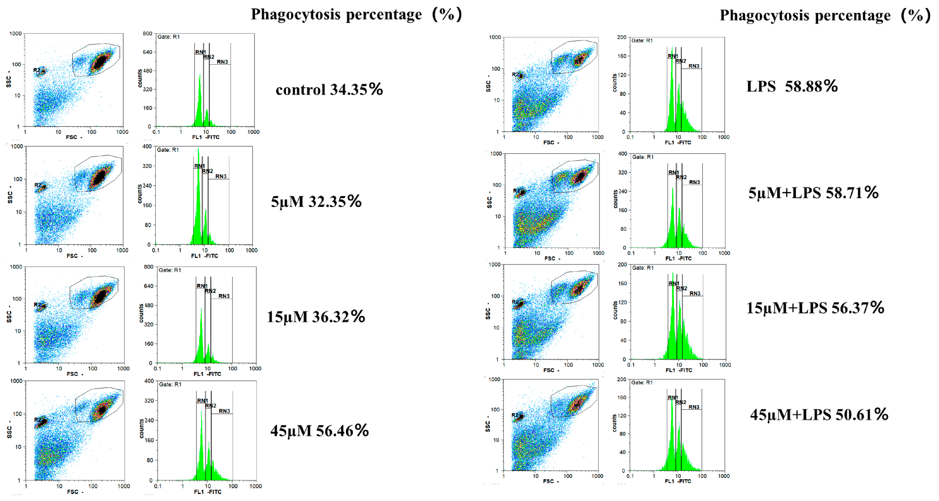 Molecules 29 04741 g007