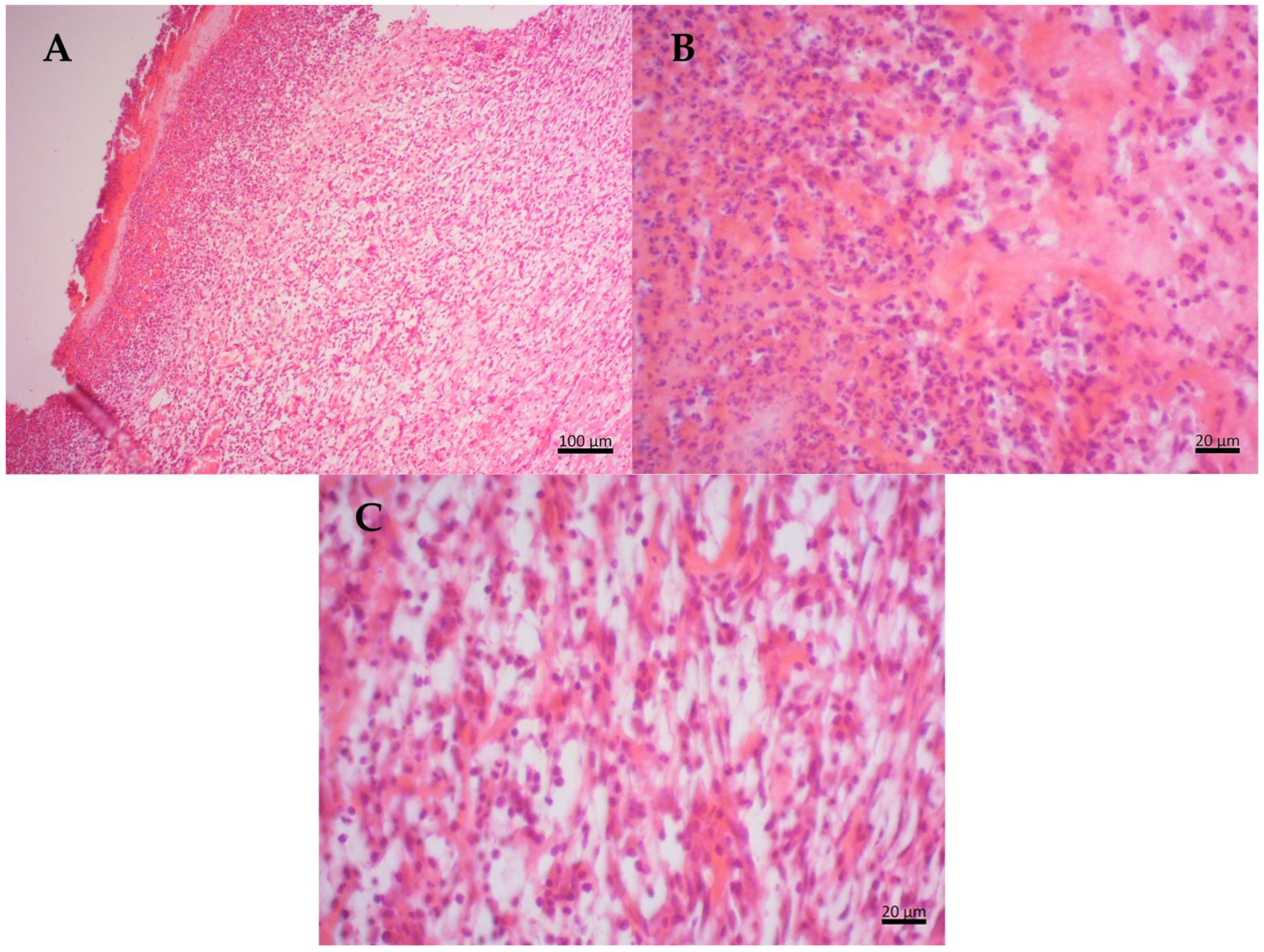 Molecules 29 04742 g003 Molecules 29 04742 g003