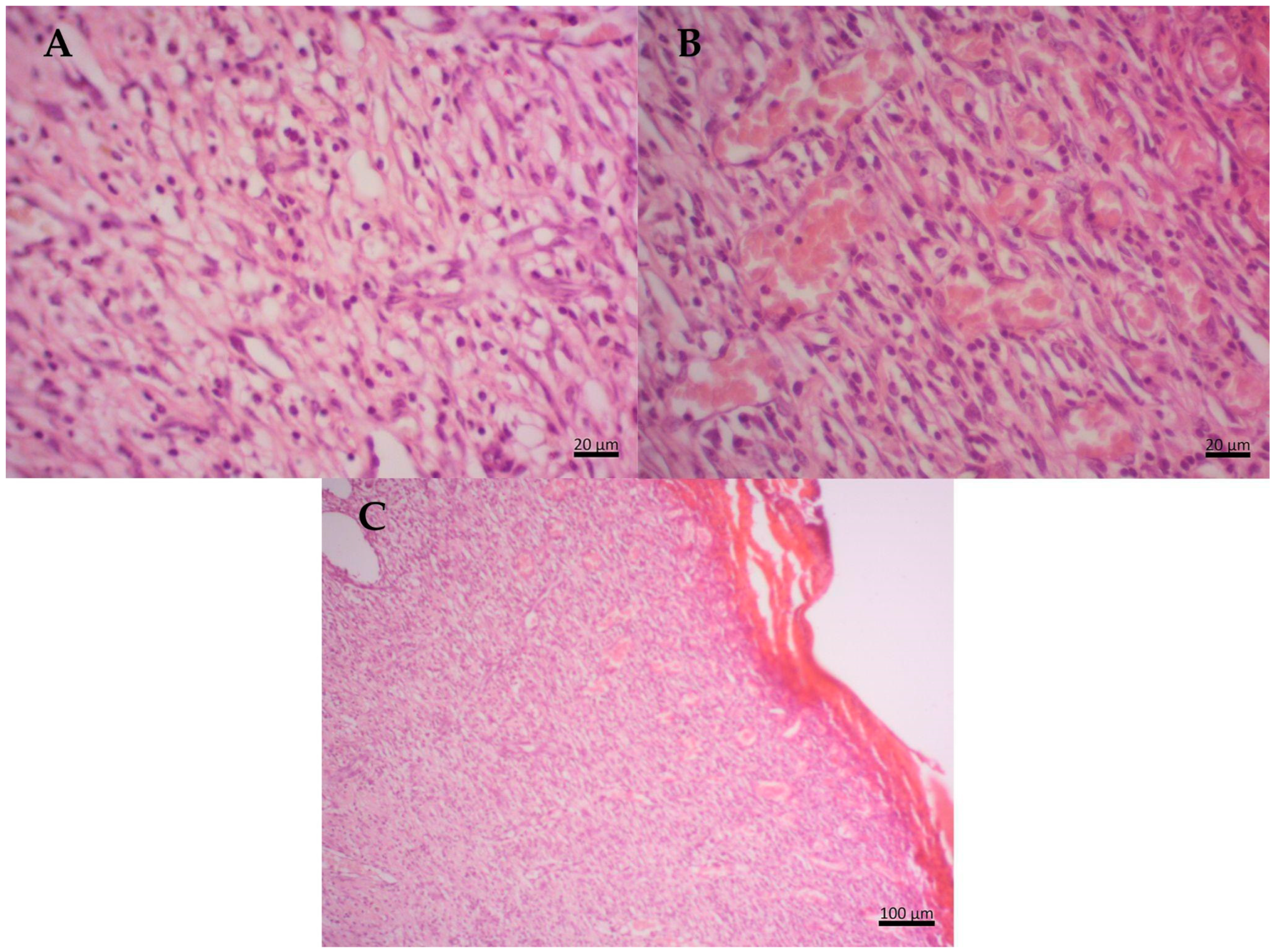 Molecules 29 04742 g004 Molecules 29 04742 g004