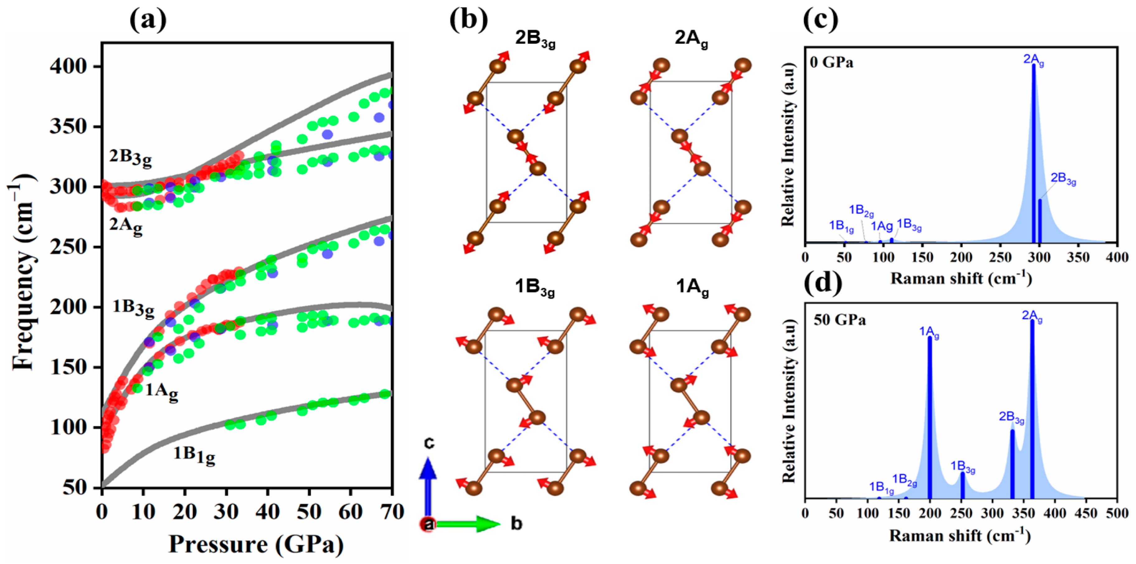 Molecules 29 04744 g003